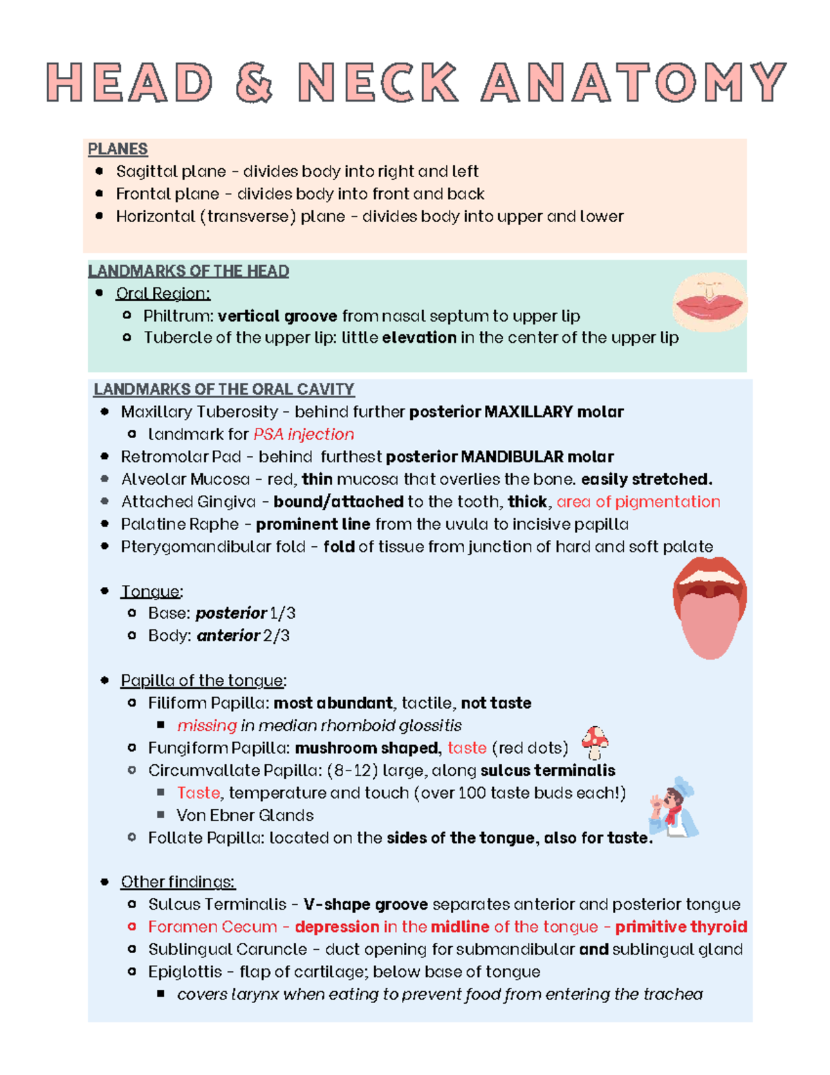 Board Exam Notes: Head & Neck Anatomy Overview - Studocu