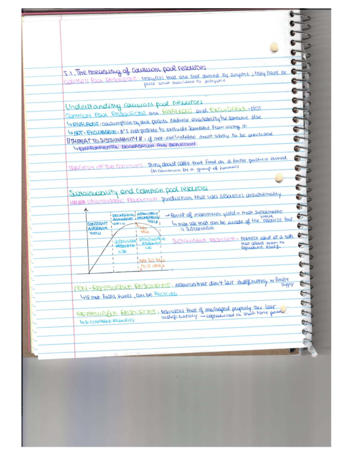 Economics Notes 5 - Understanding Common Pool Resources and ...