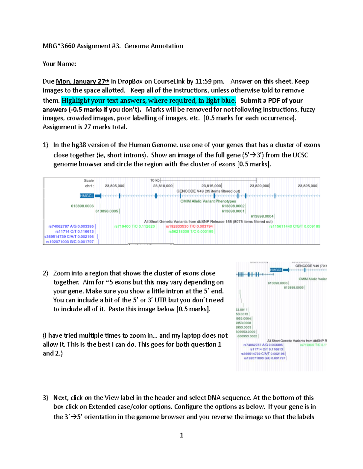 Genomics W'25 Assignment 3: Genome Annotation Instructions - Studocu