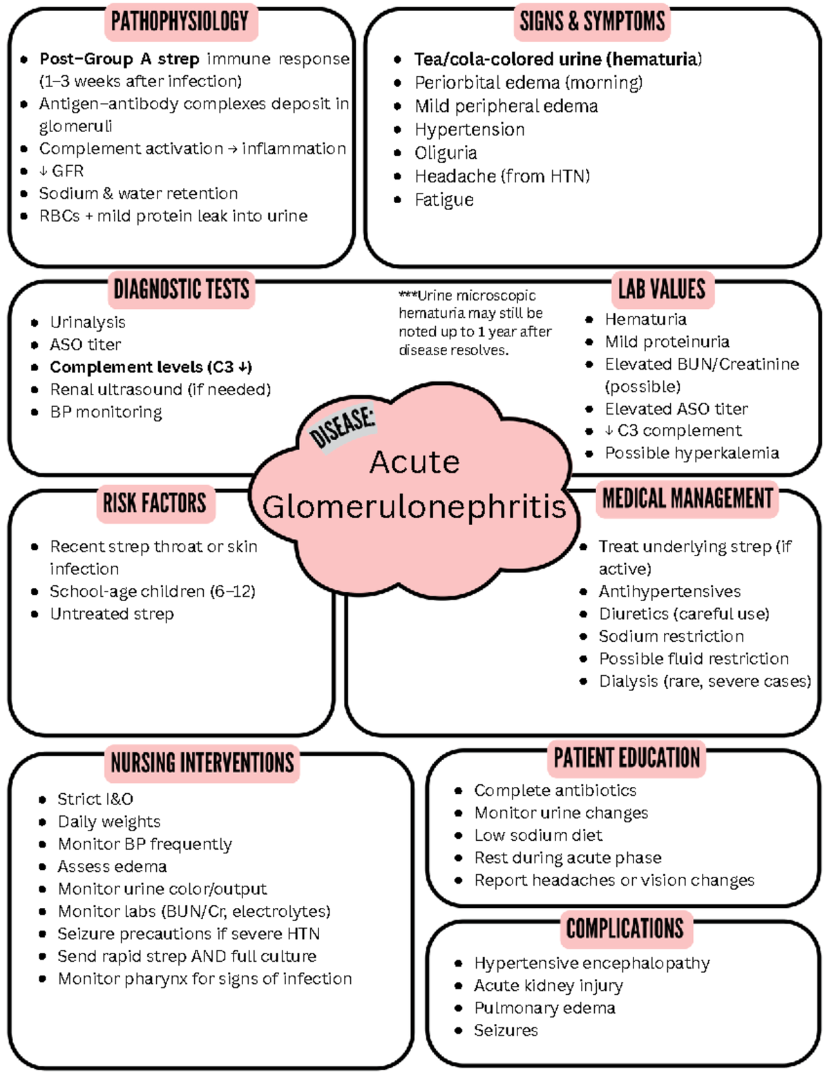 Acute Glomerulonephritis Overview and Management Guidelines - Studocu