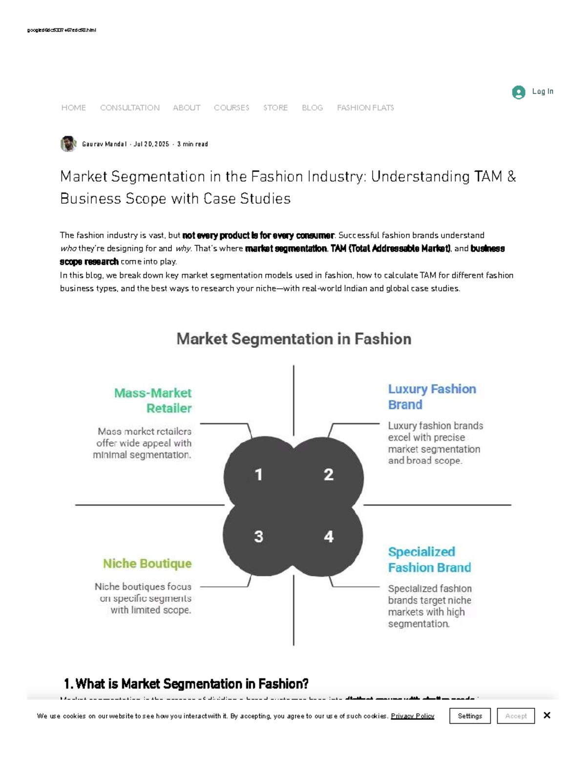 Market Segmentation in Fashion: TAM & Business Scope Insights - Studocu
