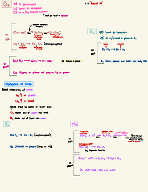 Lymphatic System & Respiratory Physiology Notes (BIO 101) - Studocu