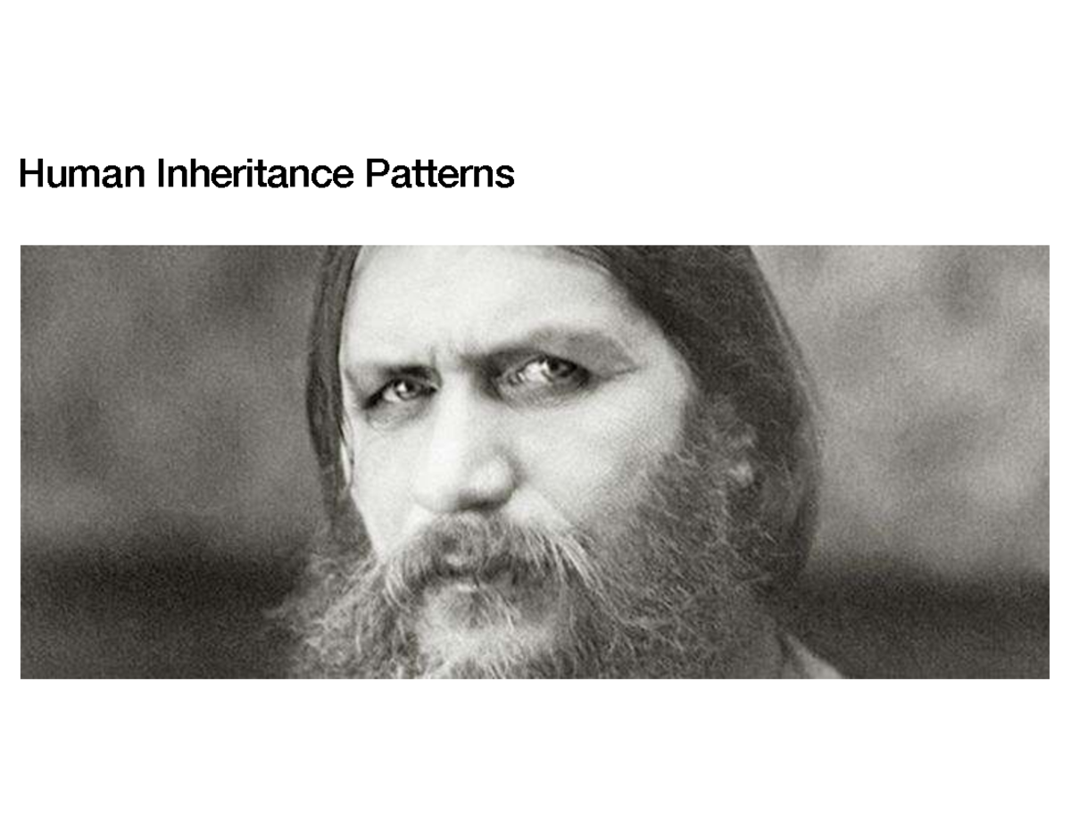 Human Inheritance Patterns: Mendelian Genetics Overview - Studocu