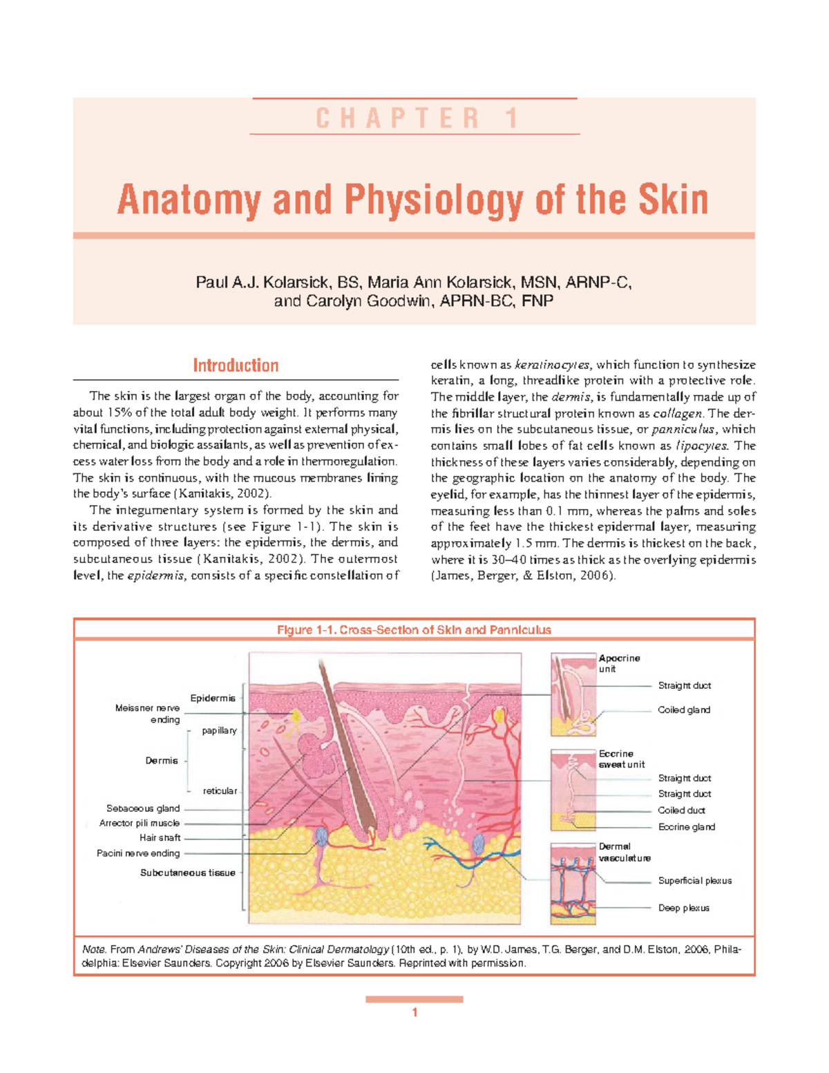 CHAPTER 1: Anatomy & Physiology of the Skin (Course Code: 23) - Studocu