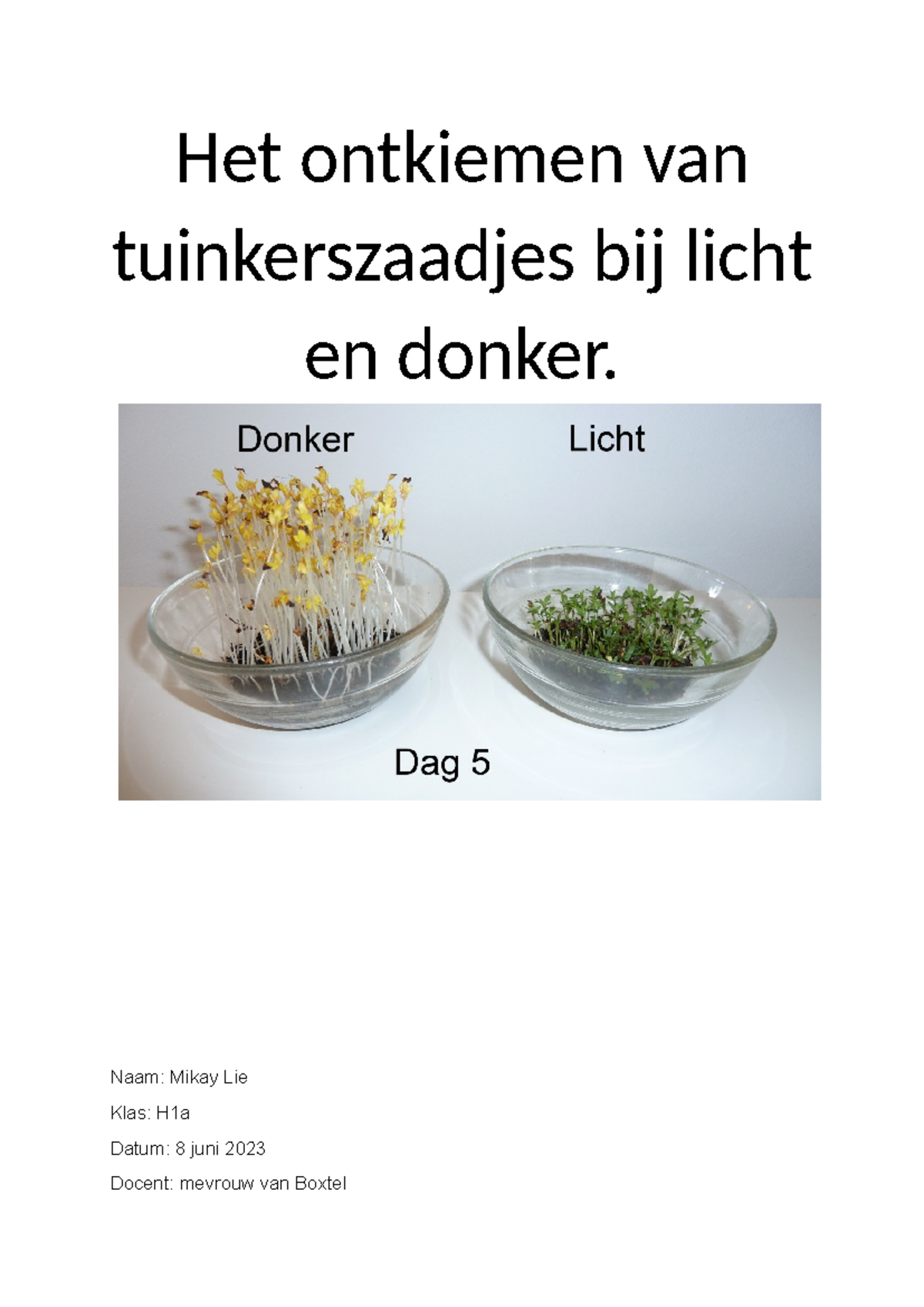 Verslag: Onderzoek naar het Ontkiemen van Tuinkers (H1a) - Studeersnel