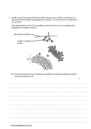 Stem Cells 1 QP - Practice Exam Questions Analysis and Insights - Studocu