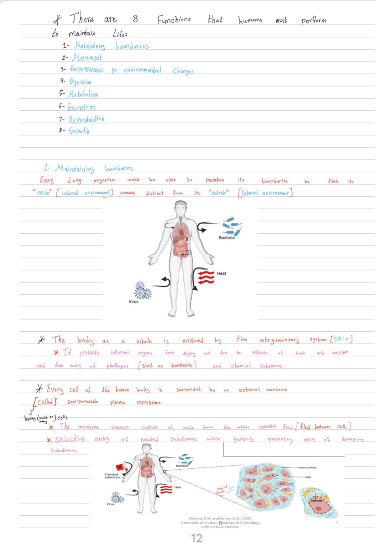 Final Exam Study Guide for SOC101: Introduction to Sociology - Studocu
