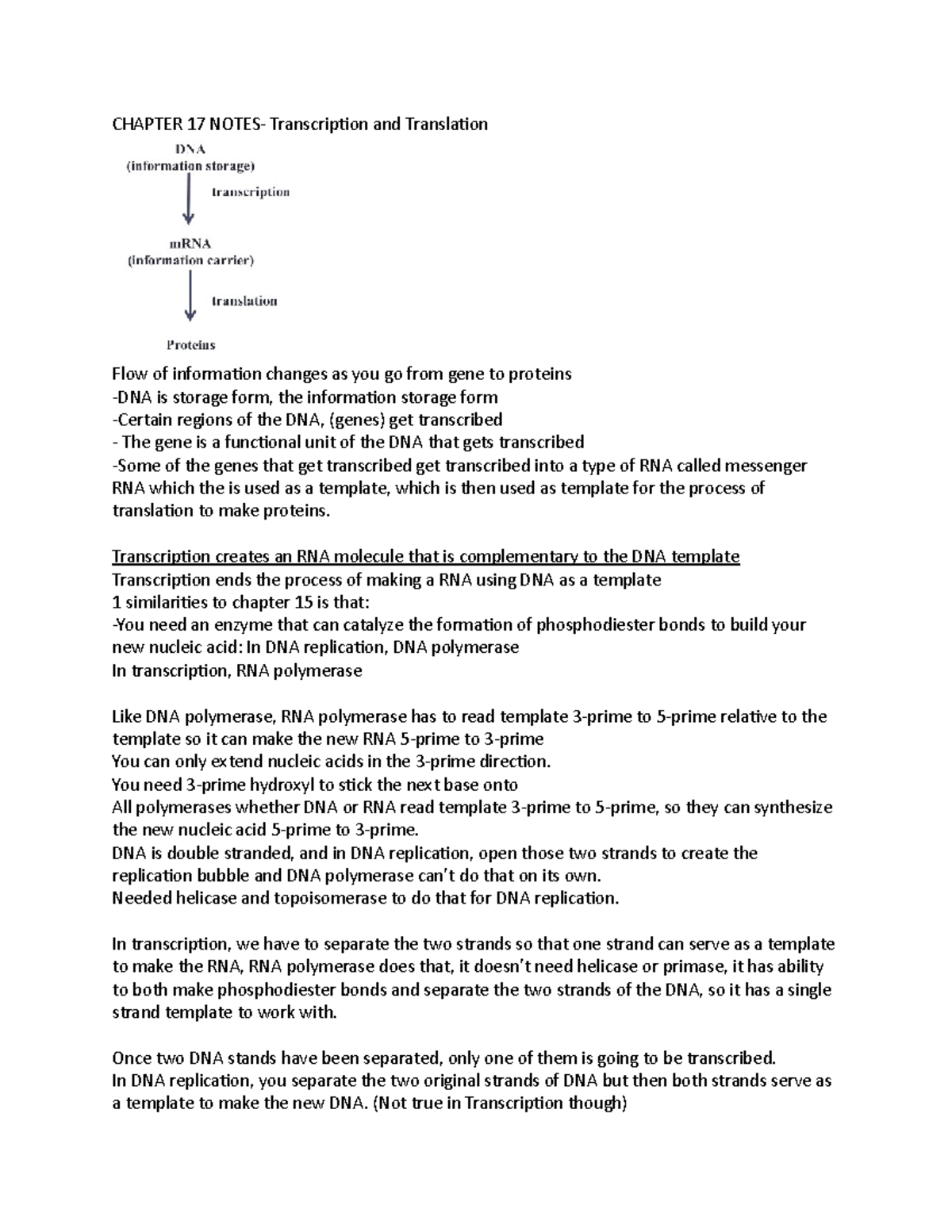 Chapter 17 Notes - CHAPTER 17 NOTES- Transcription and Translation Flow ...