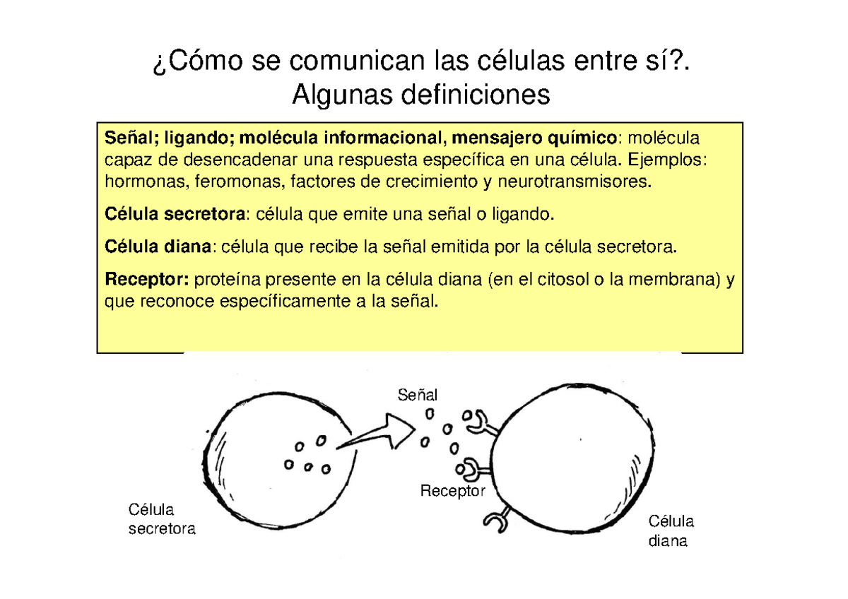 Señales - Resumen - Señal; ligando; molécula informacional, mensajero ...