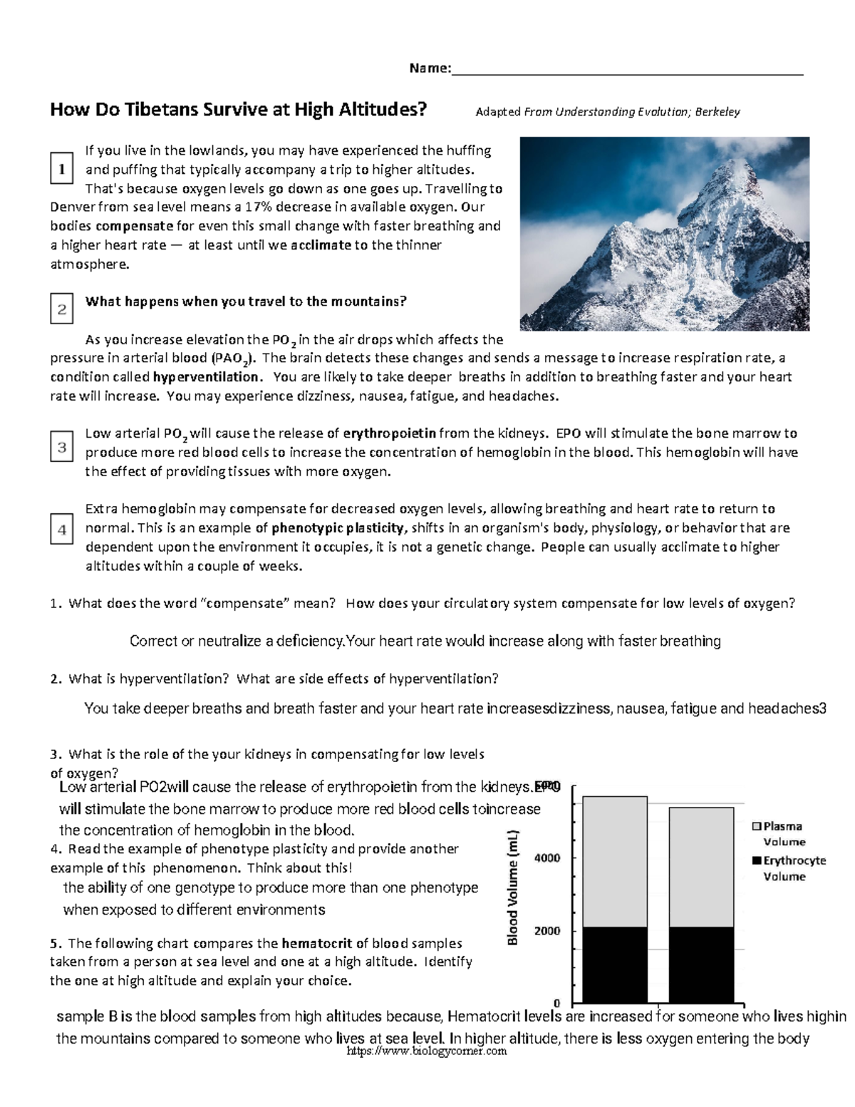 The Amazing Adaptation: How Tibetans Survive High Altitudes - niytqpk