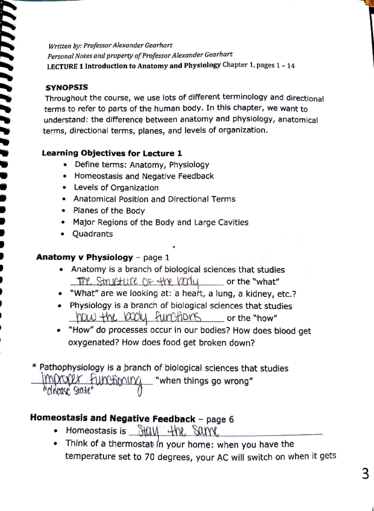 BIO 117 Exam 3 - Study Guide on Autonomic Nervous System & Senses - Studocu