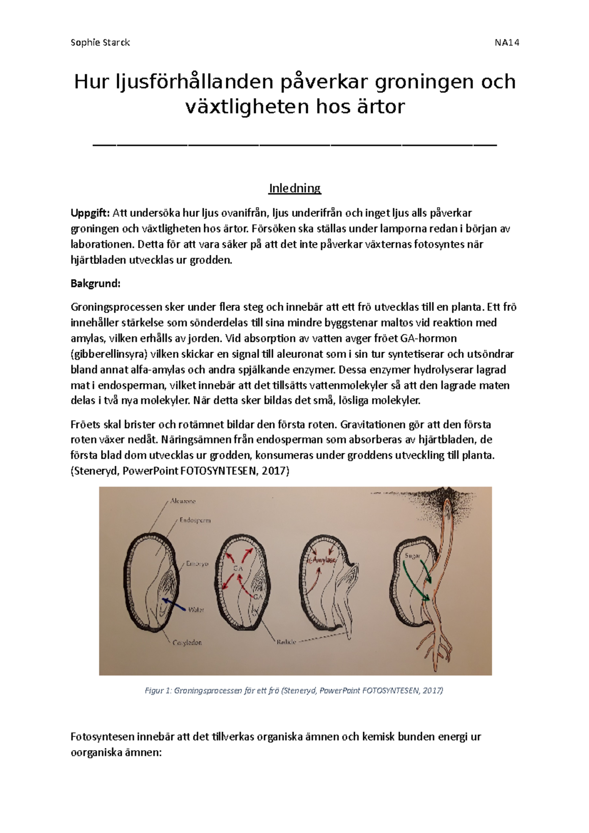 Mashhur arab porno aktrisalarini tomosha qiling