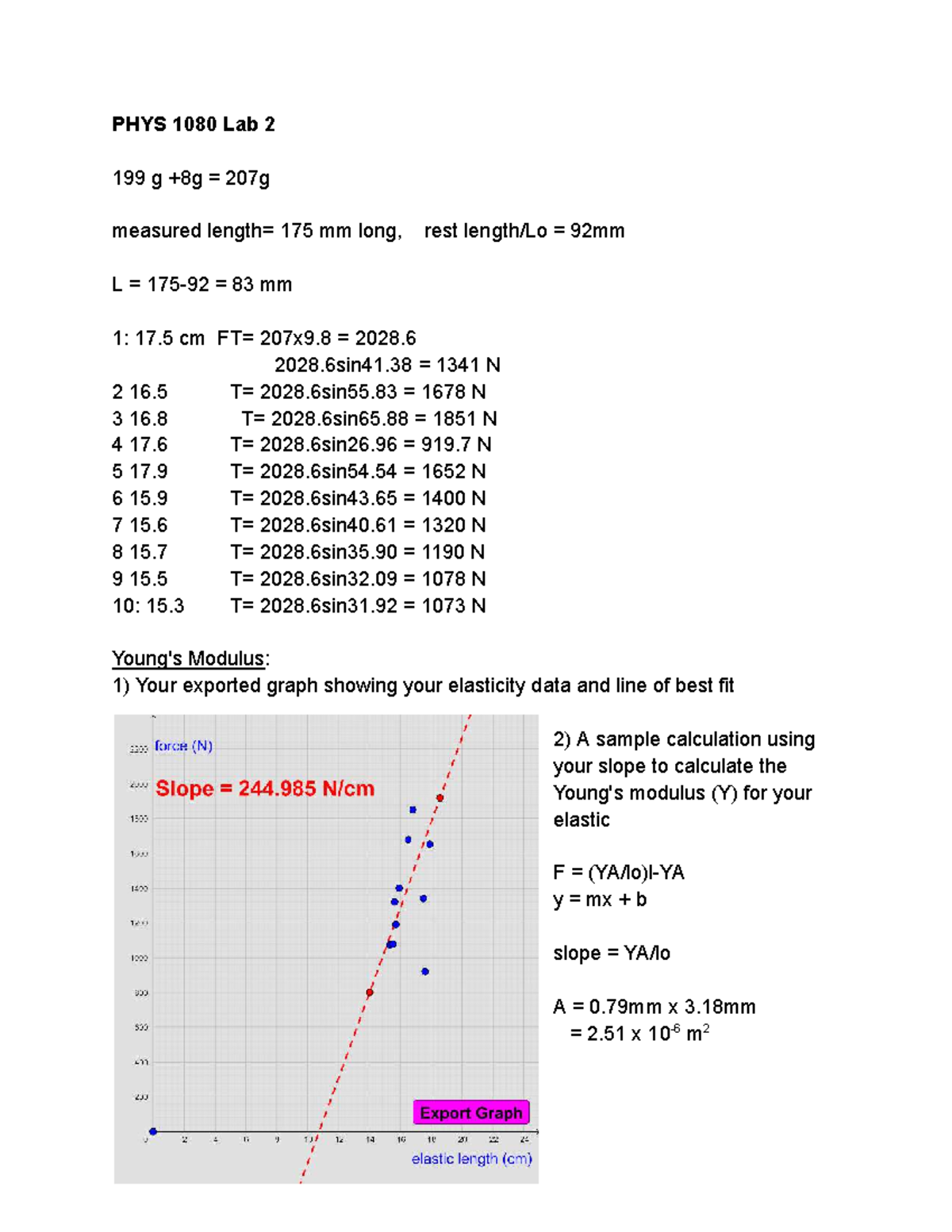 PHYS 1080 Lab 2 - Elasticity and Heart Rate Analysis Report - Studocu