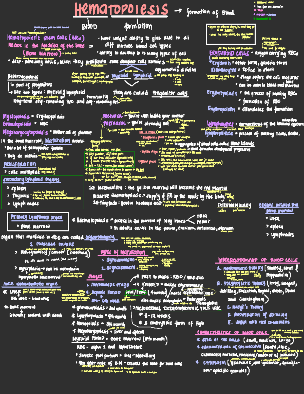 MLf 101: Lecture Notes on Hematopoiesis and Blood Cell Development ...