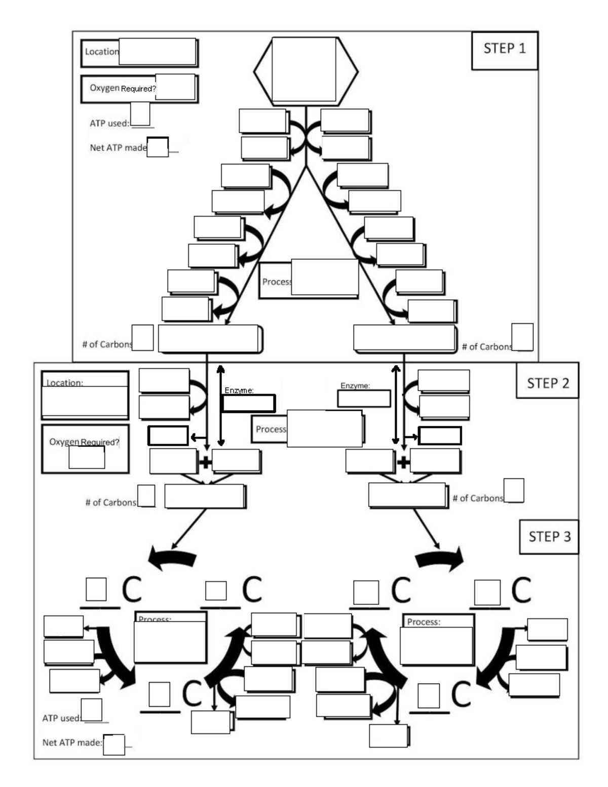 Respiration+flow+chart+2022 copy - BSC 2010 - 00000 ooo a man B ED Mme ...