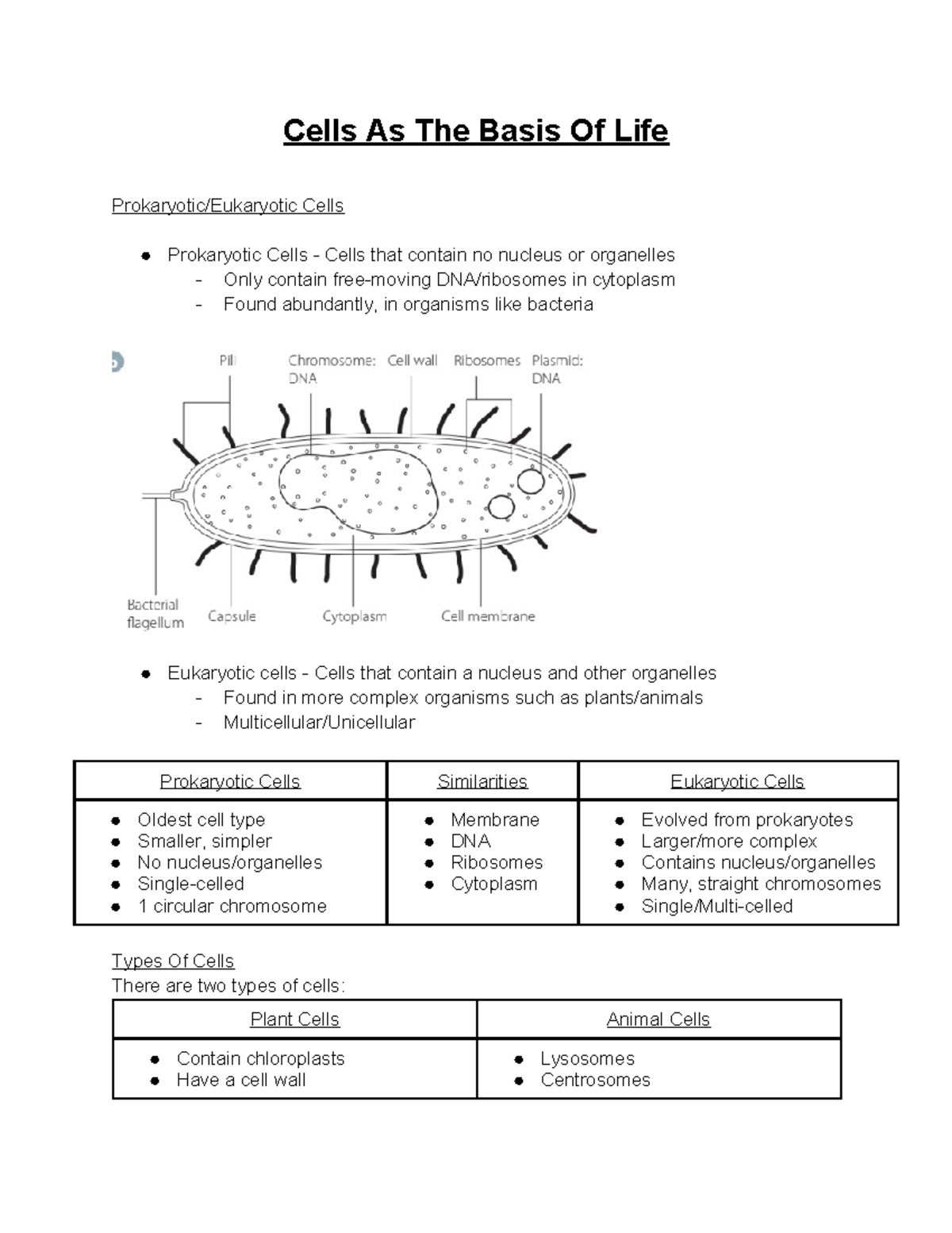 Cells as the Basis of Life: Prokaryotic and Eukaryotic Overview - Studocu