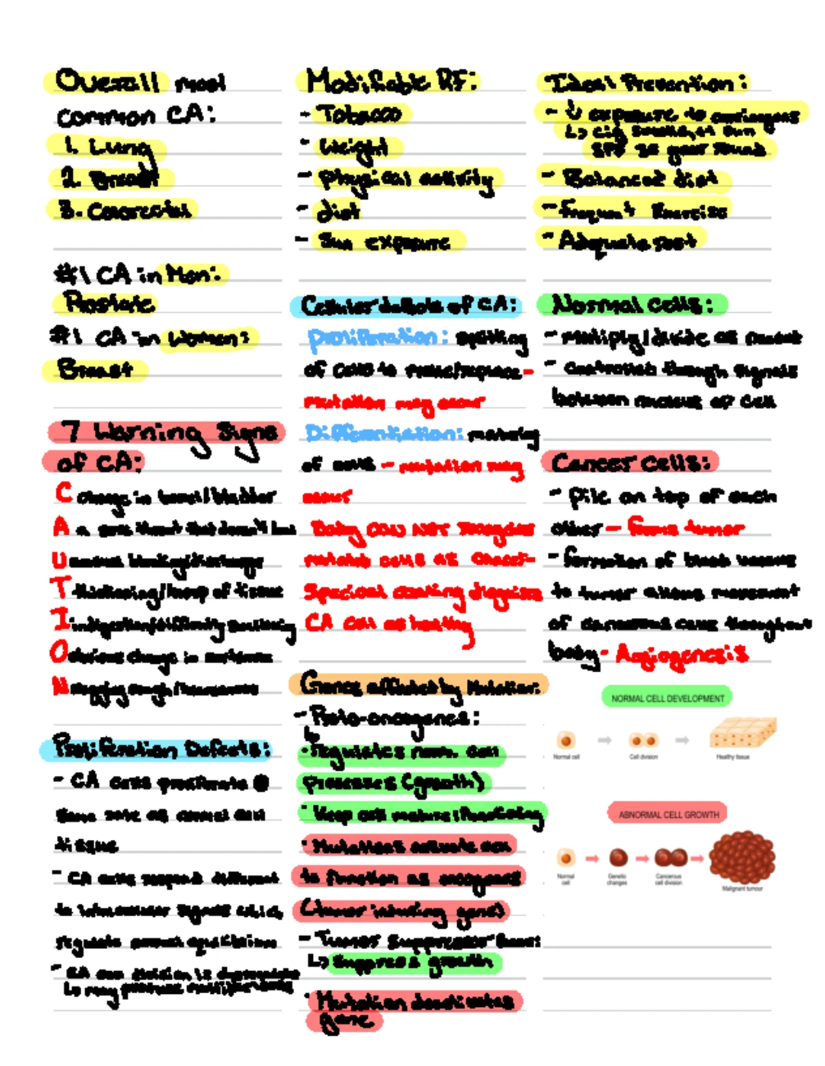 NCM 114 Palliative Care - Comprehensive Guide for Older Adults - Studocu