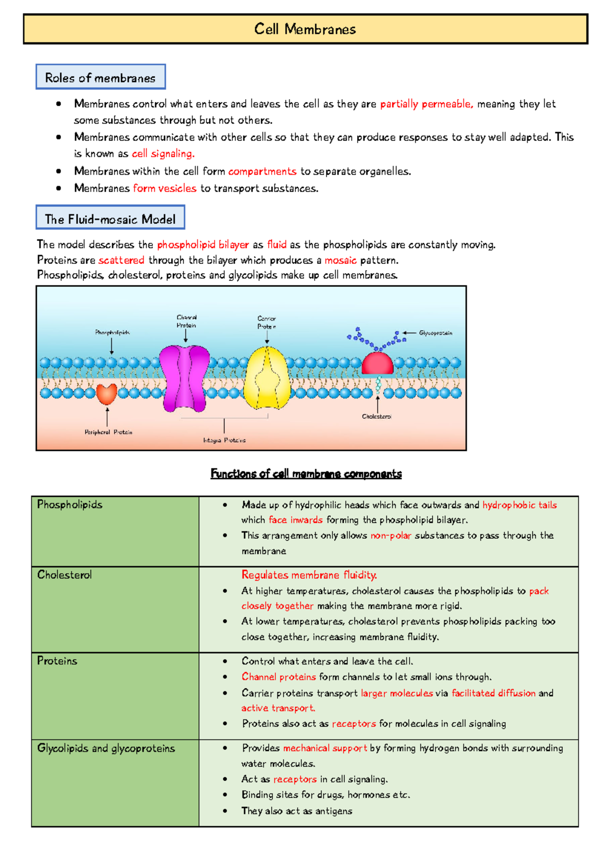 AQA AS Biology: Cell Membranes Functions and Mechanisms Notes - Studocu