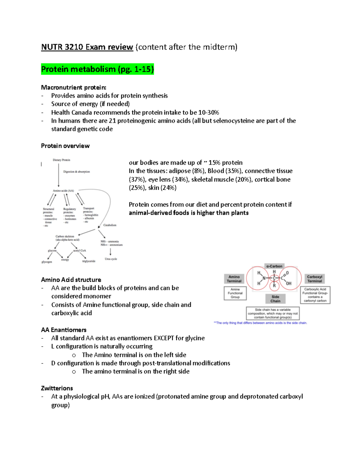NUTR 3210 Final Exam Review: Protein Metabolism Insights and Concepts ...