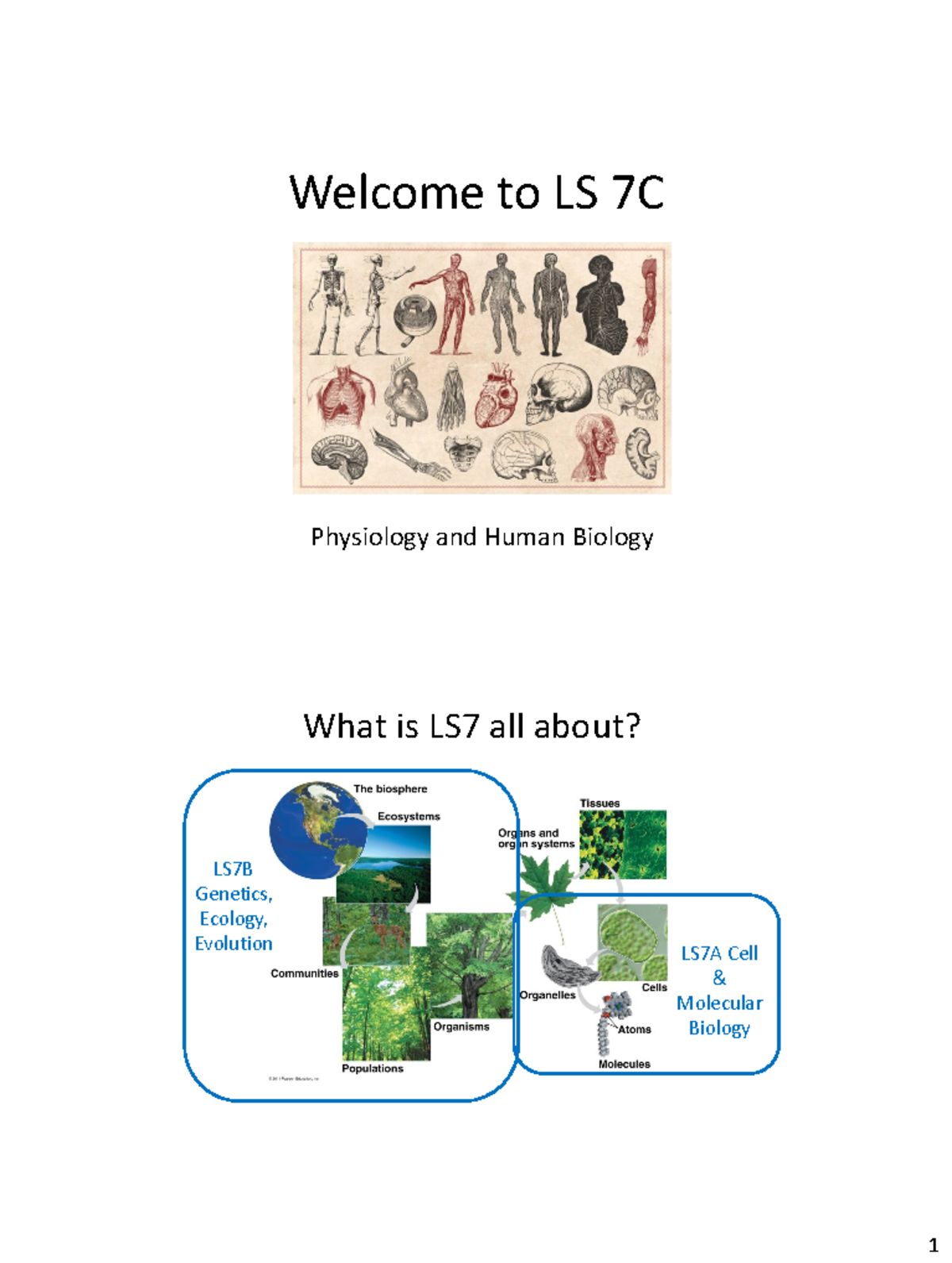 Multicellular Organism Development: Cell Signaling & Differentiation LS ...