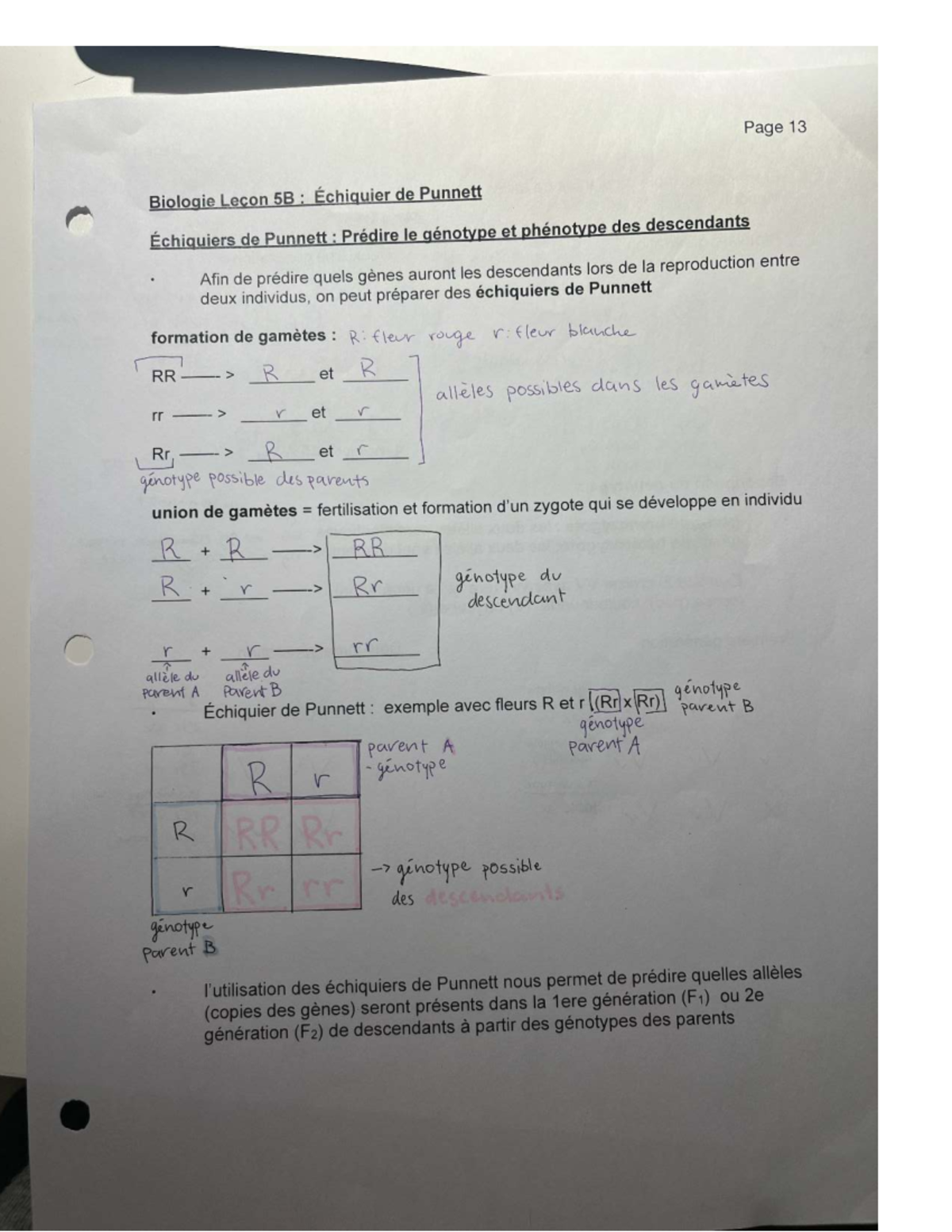 Final Exam Study Notes for Course XYZ 101 - Page 13 Biologie Lecon 5B ...