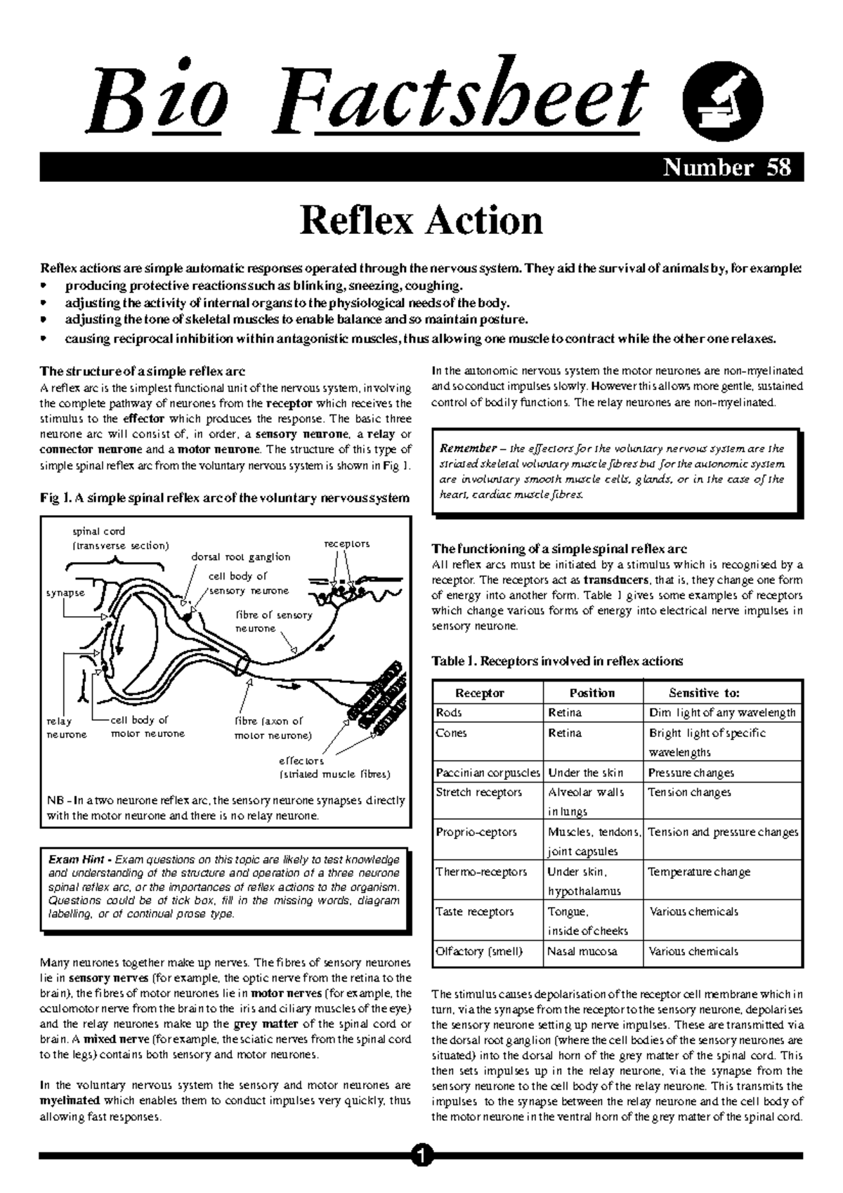 058 Reflex Action - Lesson Notes for Self-Study and Review - Studocu