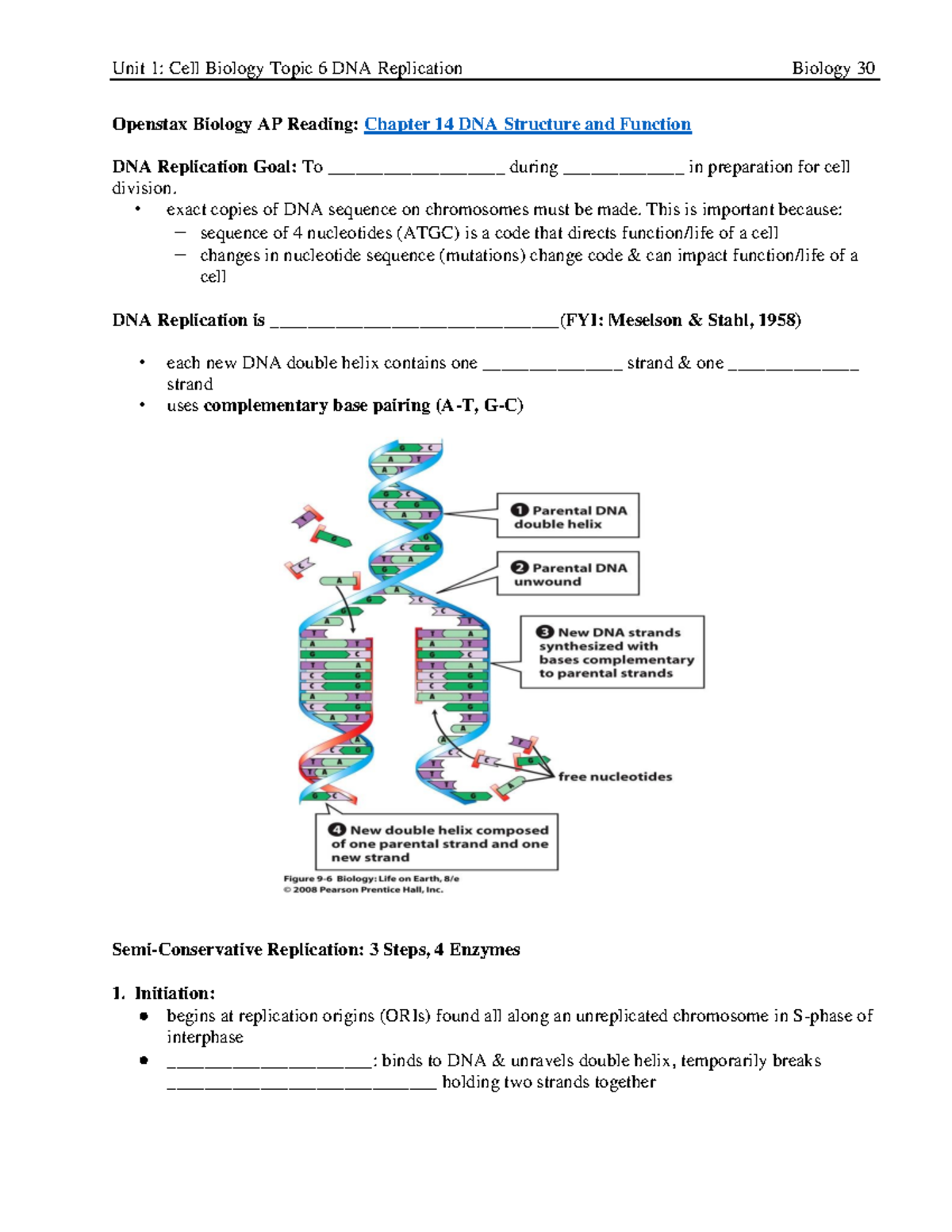 1.6 DNA Replication Notes - Openstax Biology AP Reading: Chapter 14 DNA ...