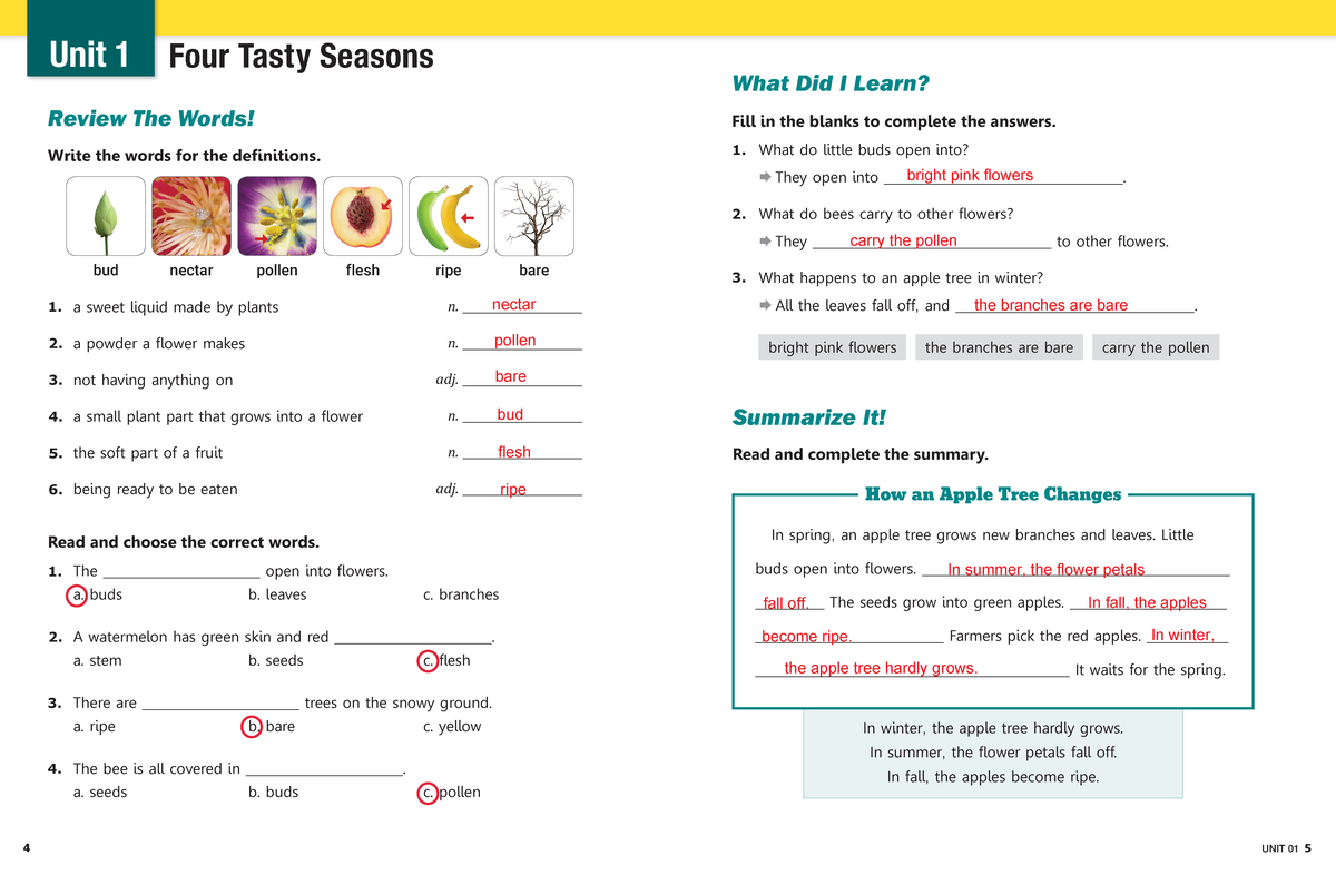 Bricks Reading 170 Nonfiction L1 Workbook Answer Key Studocu