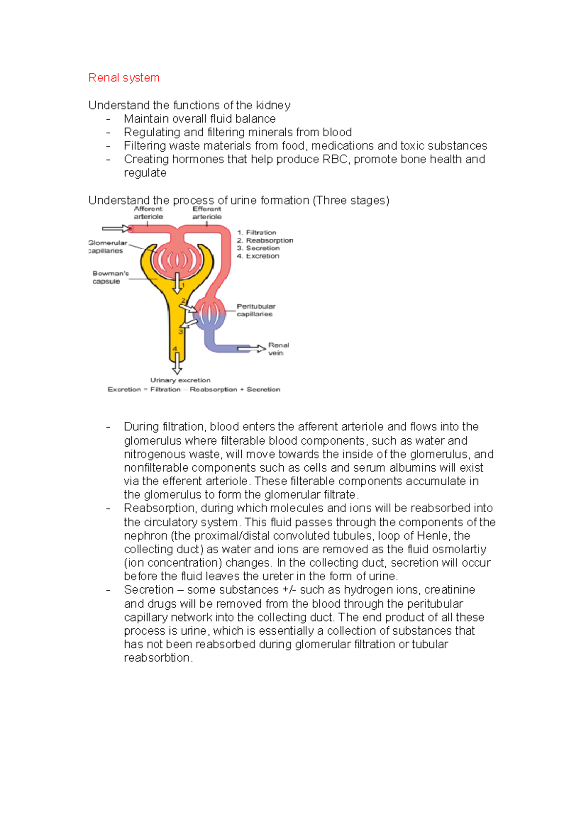 Pharmacology Study Guide: Key Concepts of Renal System Functions - Studocu