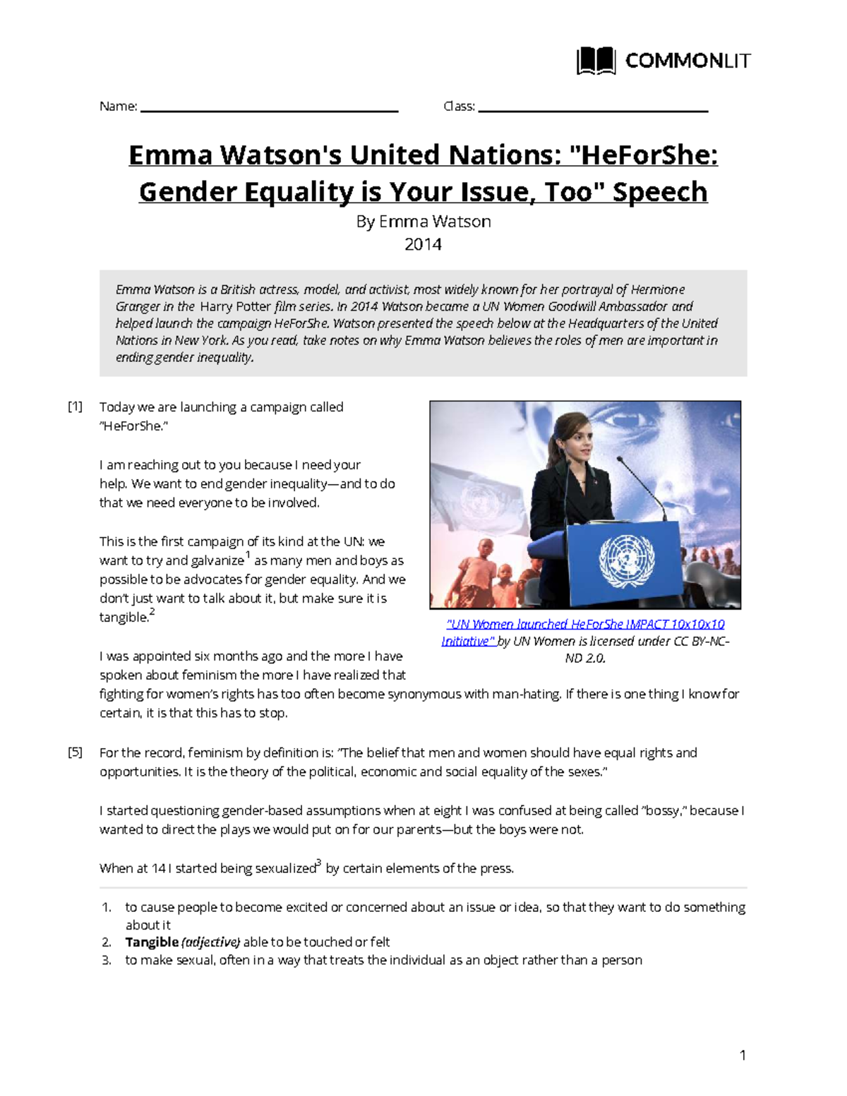 Emma Watson's UN Speech on Gender Equality: Key Insights & Analysis ...
