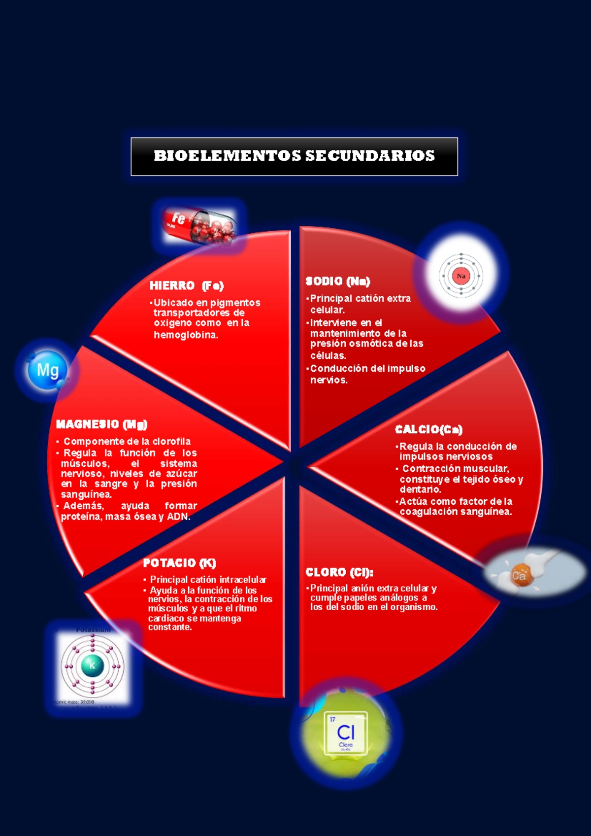 BIOELEM. SECUNDARIOS: HIERRO, SODIO, MAGNESIO, CALCIO, POTASIO, CLORO ...