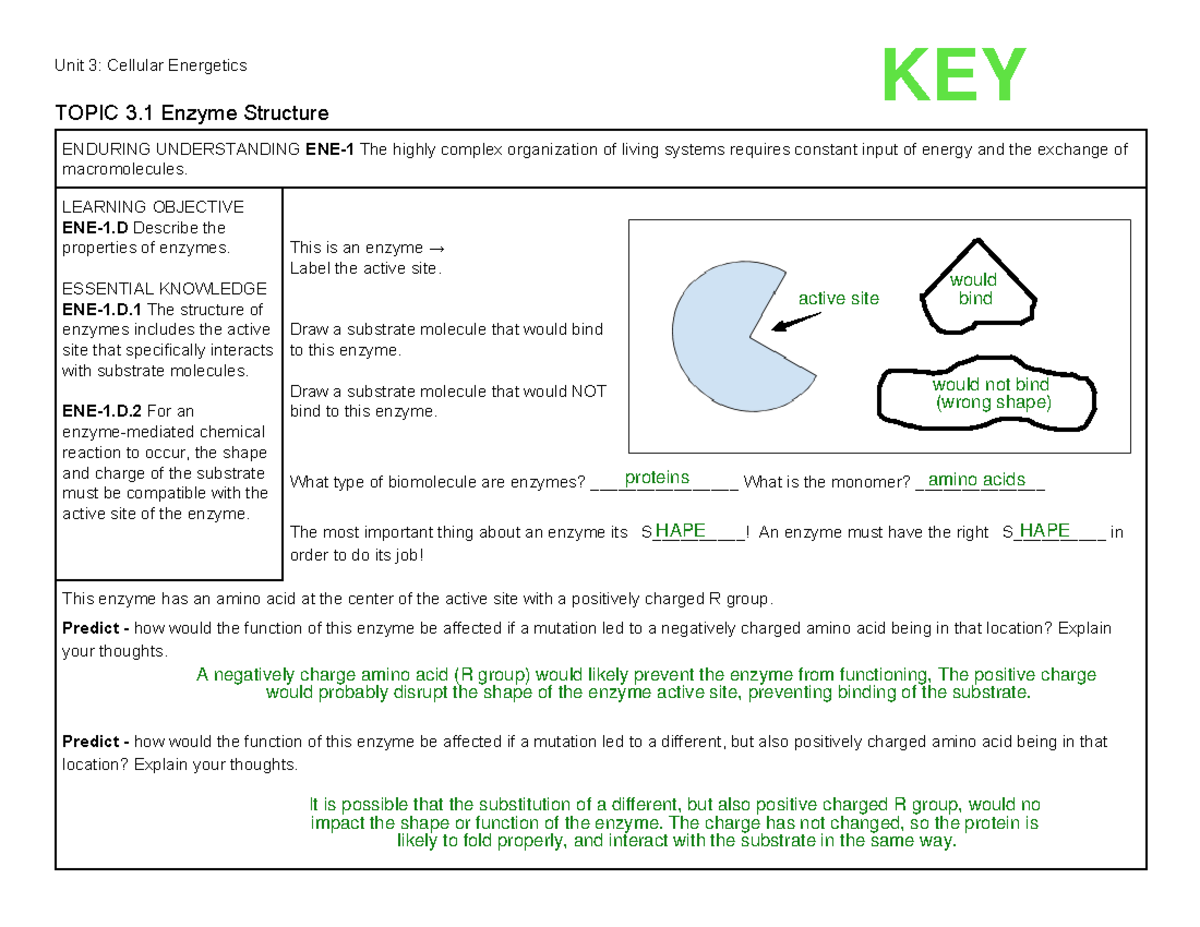 AP Biology Unit 3 Cellular Energetics Study Guide and Key Concepts ...