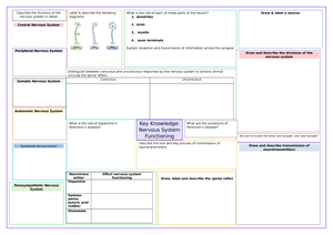 Unit 3 AOS 1 Nervous System Functioning Summary - Unit 3 Psychology ...