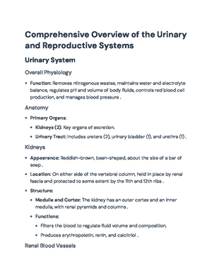 Comprehensive Guide to the Anatomy and Function of the Urinary System ...