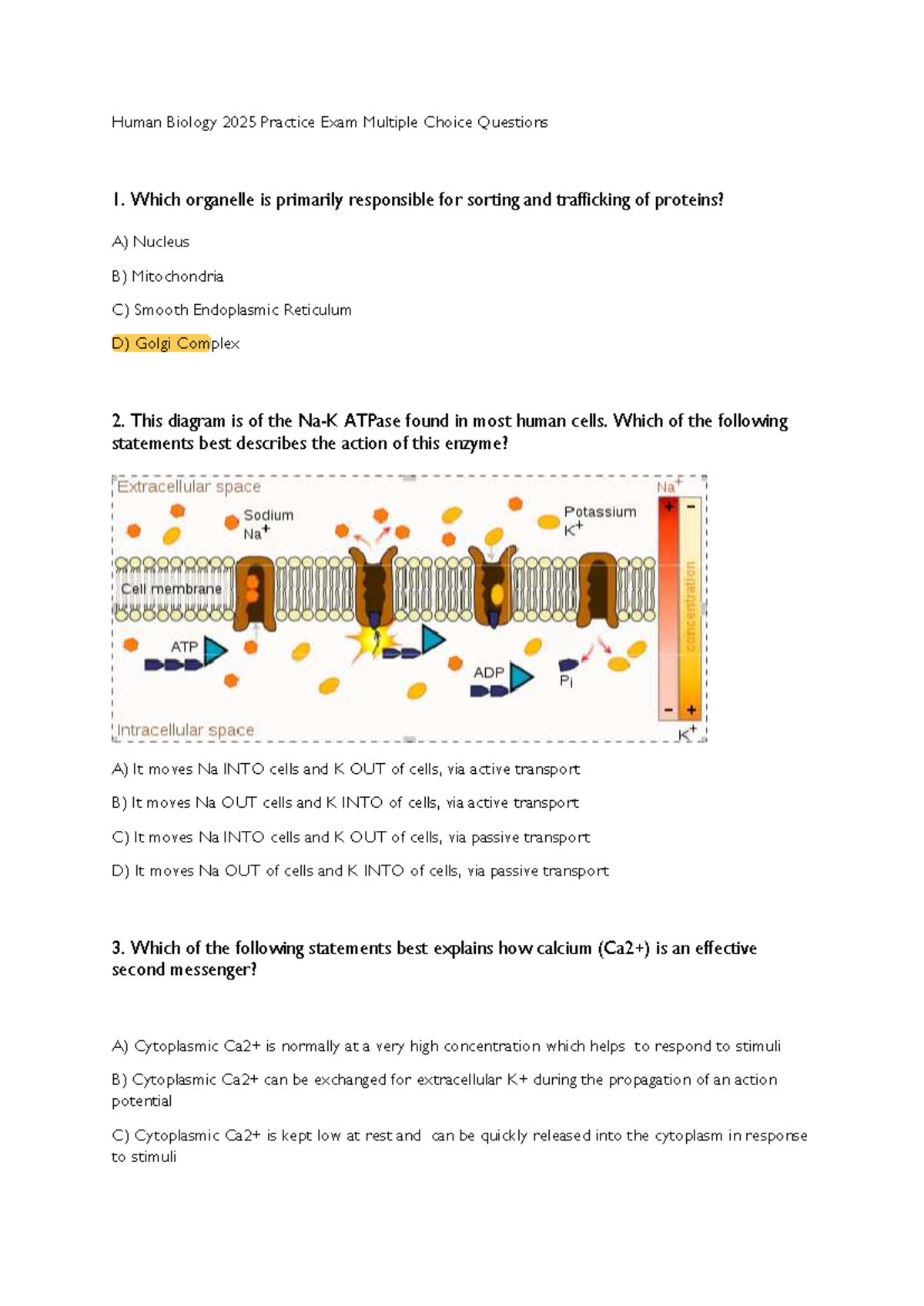 Human Biology 2025 Final Exam Practice MCQs - Studocu