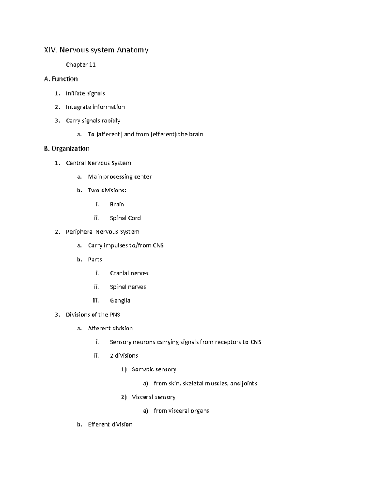 Nervous System Anatomy: Functions and Organization - Chapter 11 - XIV ...