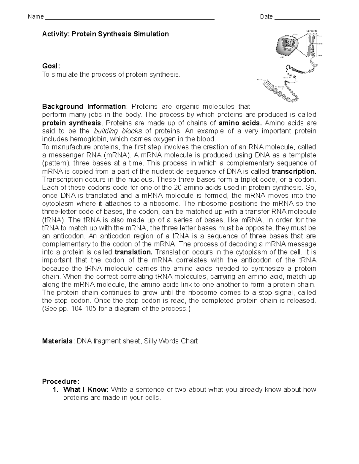 Biology 12 Protein Synthesis Simulation Worksheet Assignment - Studocu