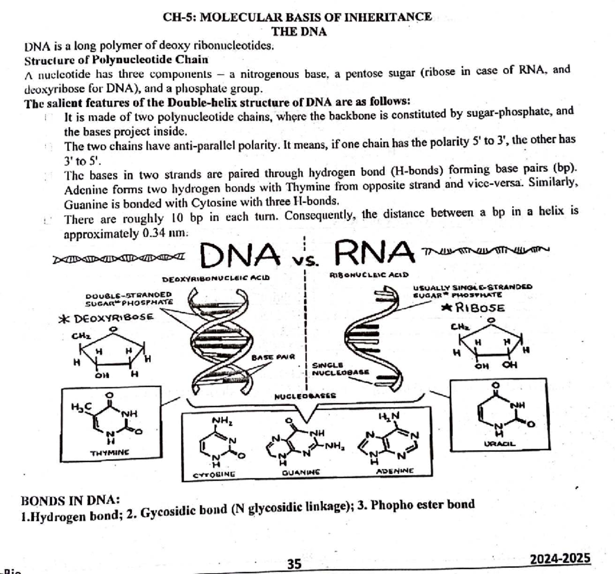 Molecular Basis of Inheritance: Key Concepts and Insights (BIO101 ...