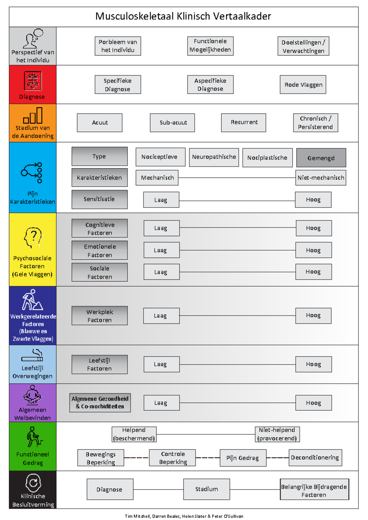 MCTF Framework: Musculoskeletaal Klinisch Vertaalkader en Diagnose ...