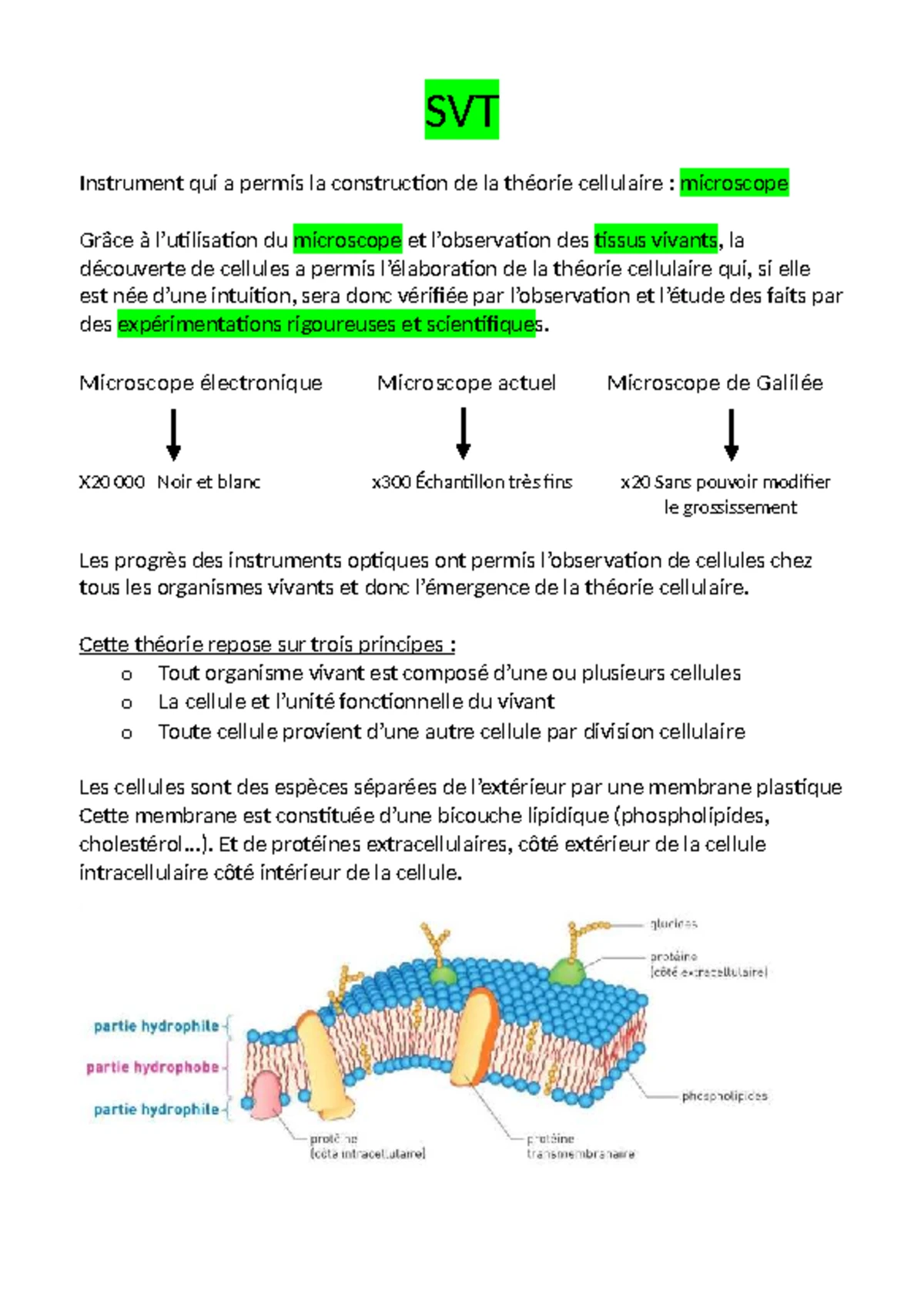 Kit De Laboratoire De Biologie NEO SCI AP #3 – Enquête Sur La Mitose Et La Méiose