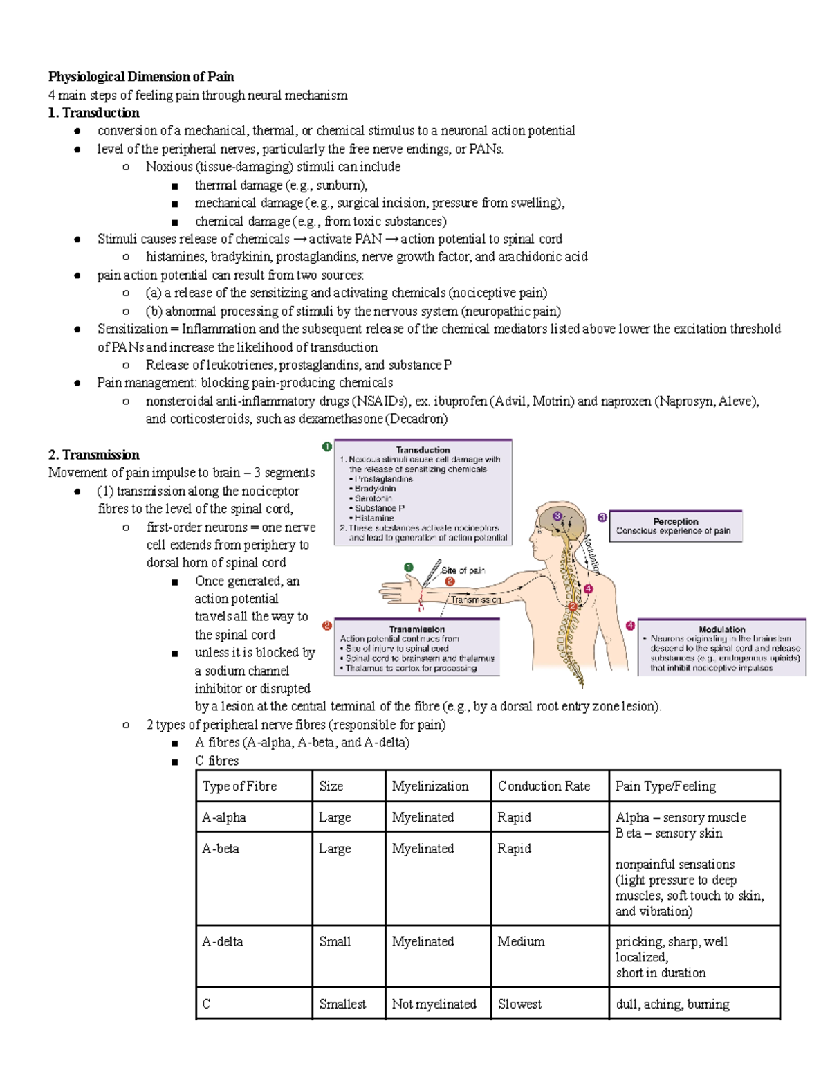 2 - Pain - Pain notes from textbooks and lecture. - Physiological ...