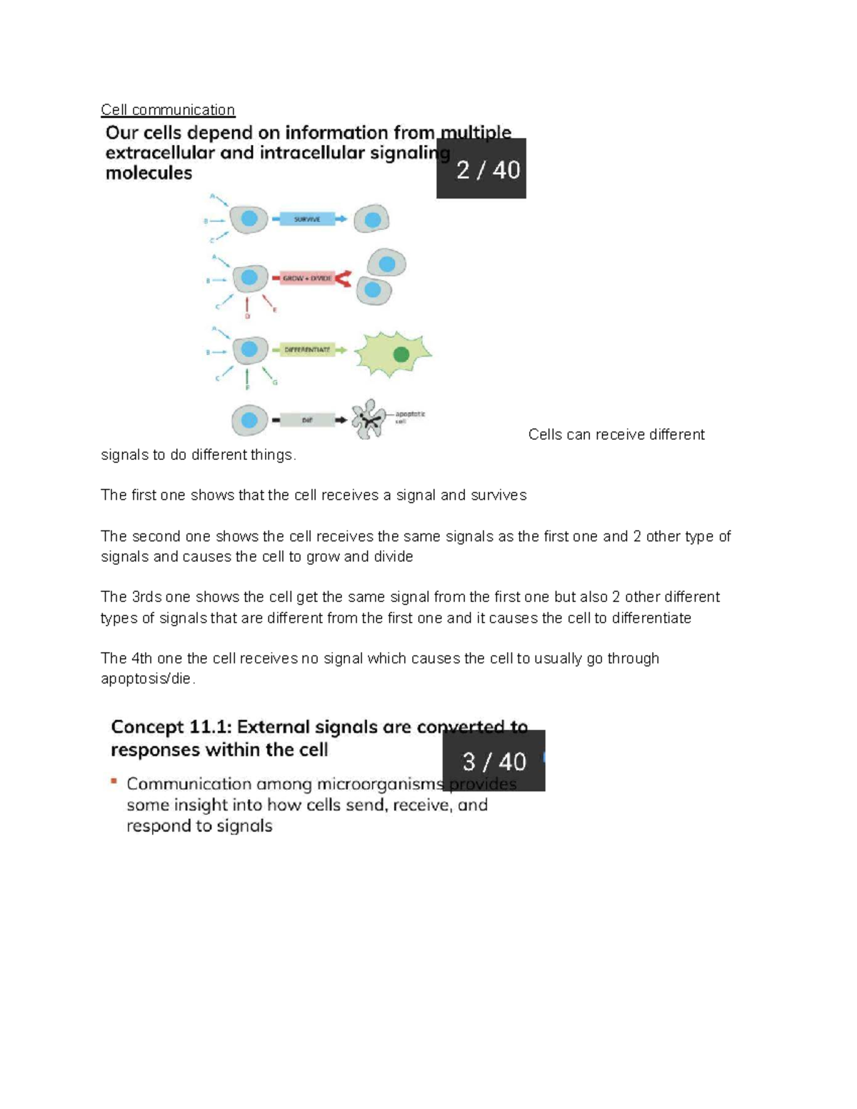 Cell Communication Overview - BIO 101 Lecture Notes - Studocu
