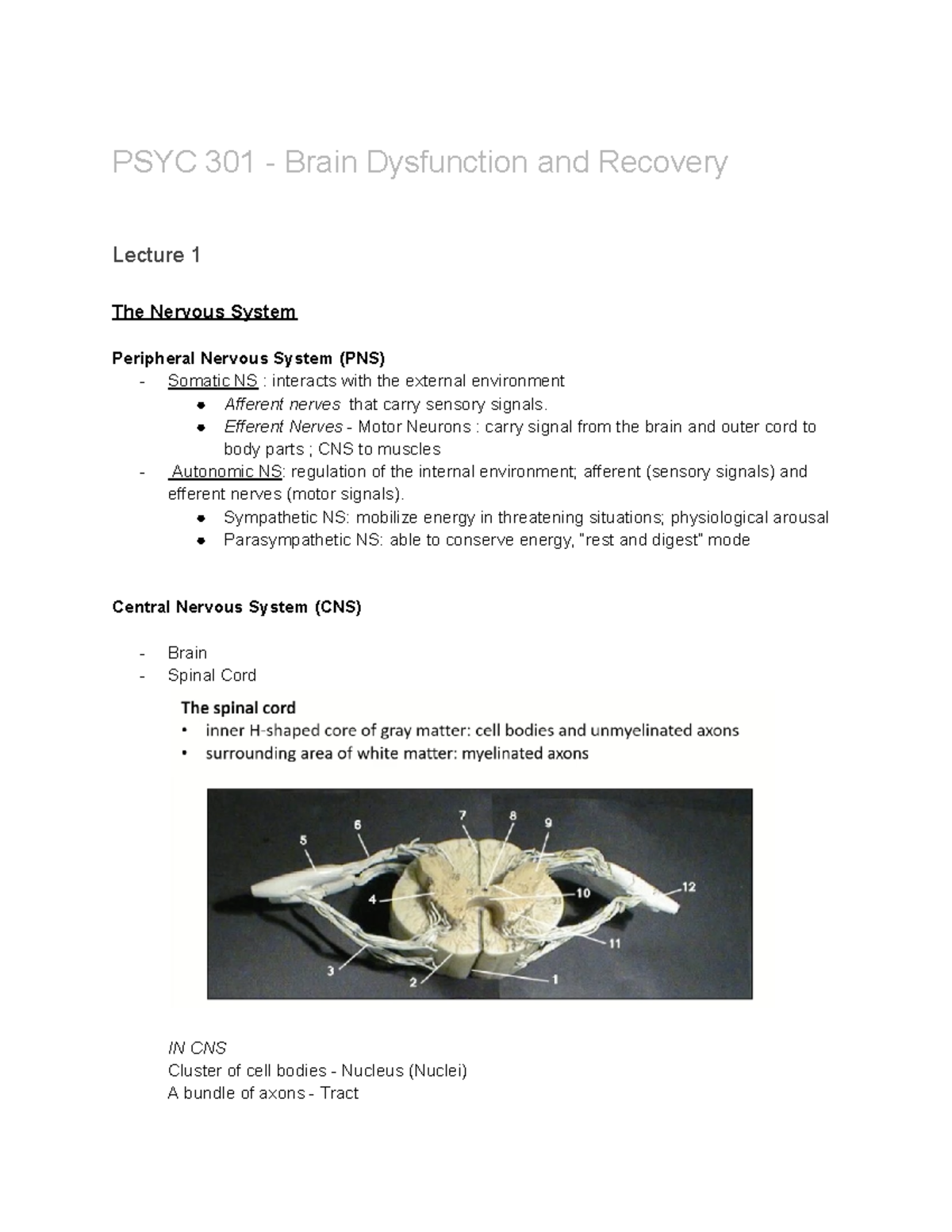 PSYC 301 - Notes - PSYC 301 - Brain Dysfunction and Recovery Lecture 1 ...