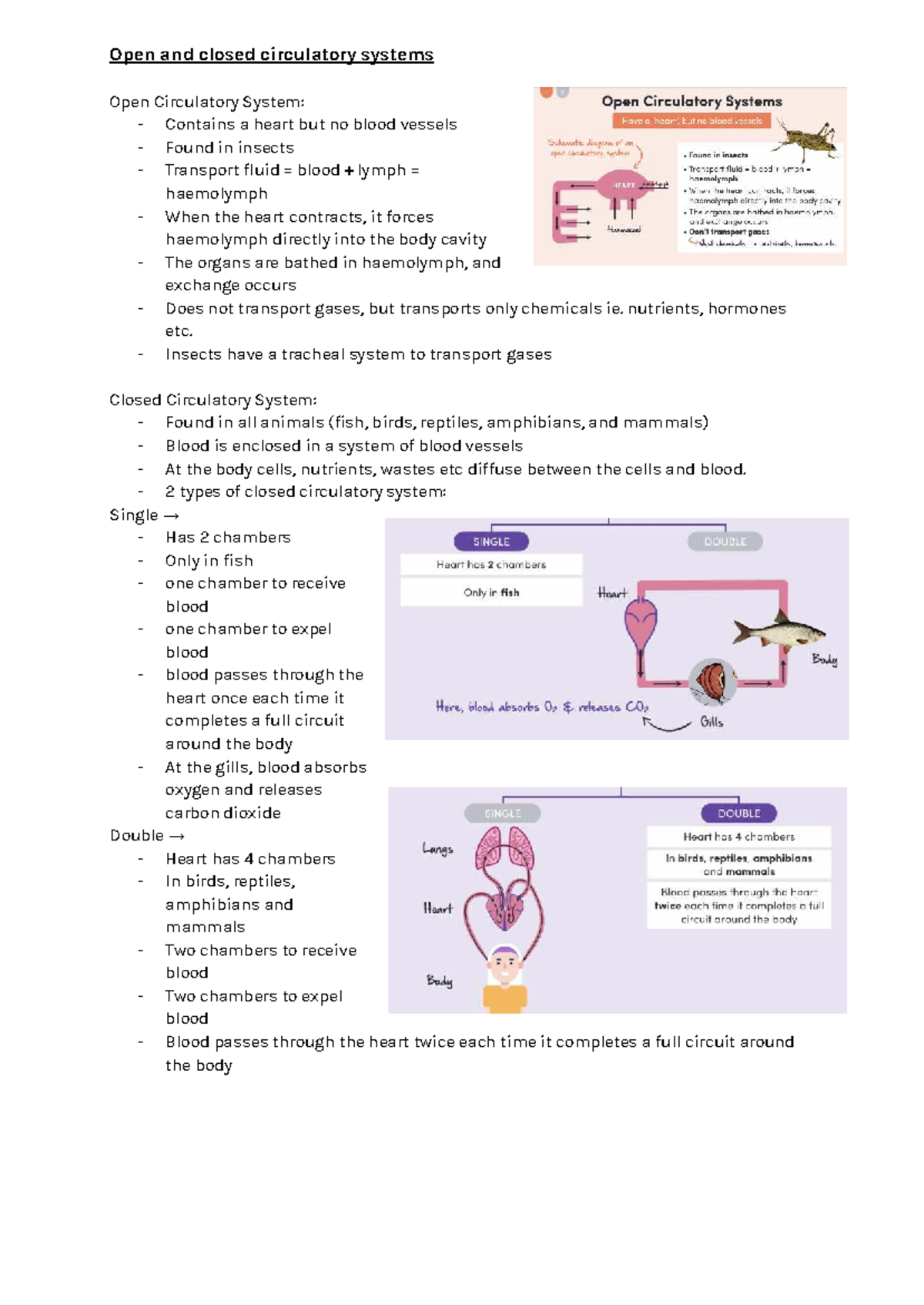 BIO M2 Study Notes: Open vs Closed Circulatory Systems Explained - Studocu
