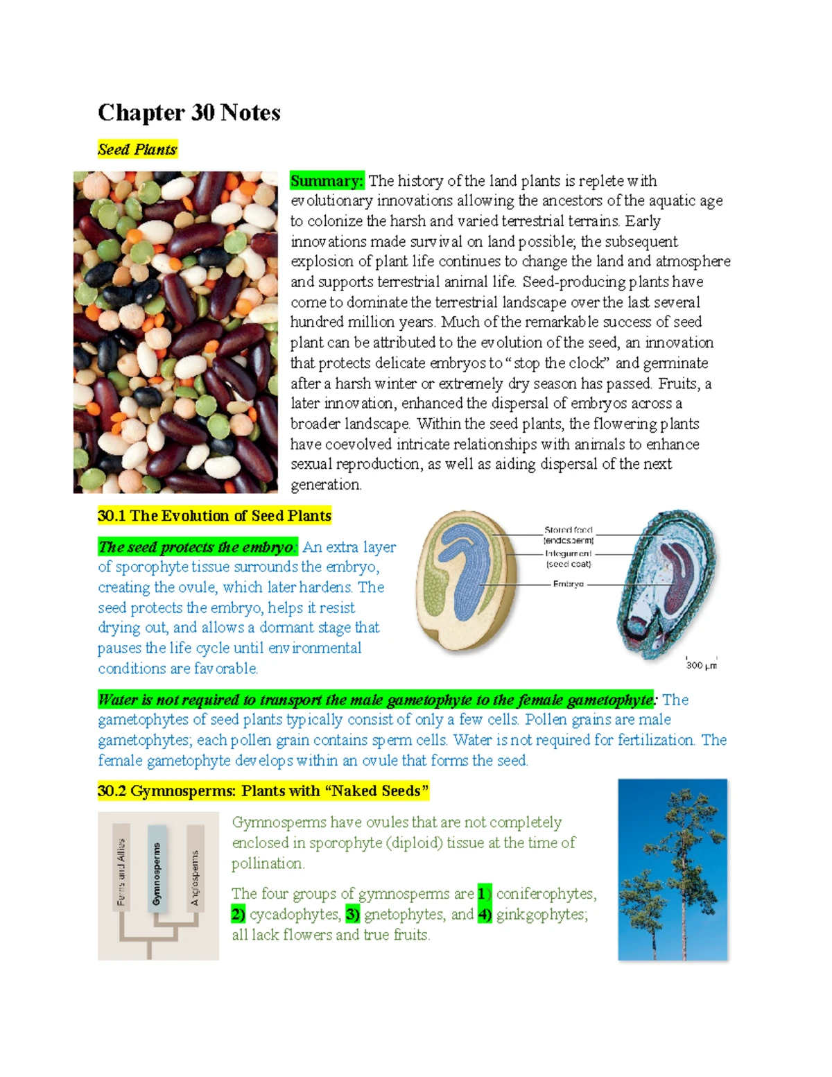 Bio Chapter 33 Notes - Biology - Chapter 33 Protostomes Summary: Almost ...