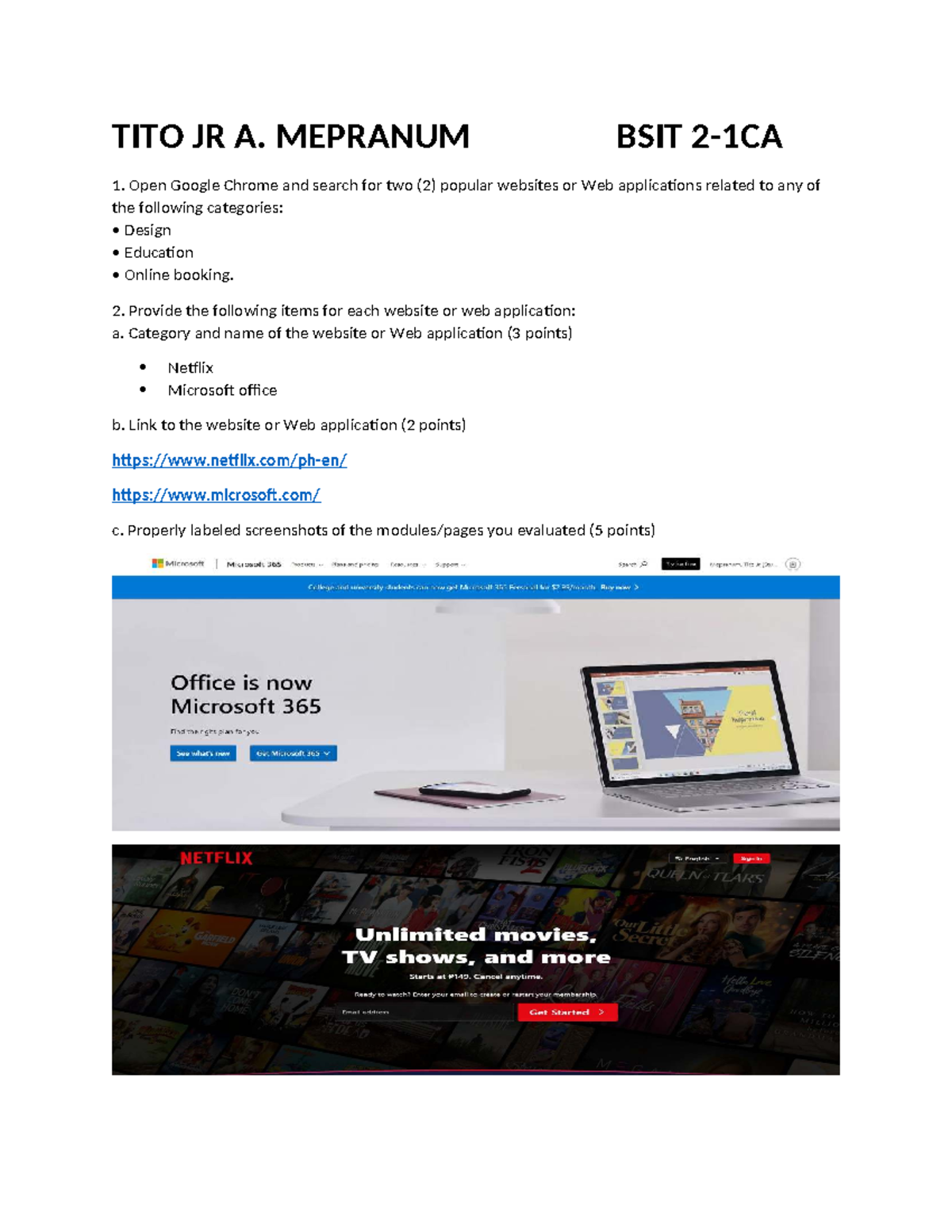 Lab Exercise 1 Summary: Evaluating Websites & Web Apps (BSIT 1) - Studocu