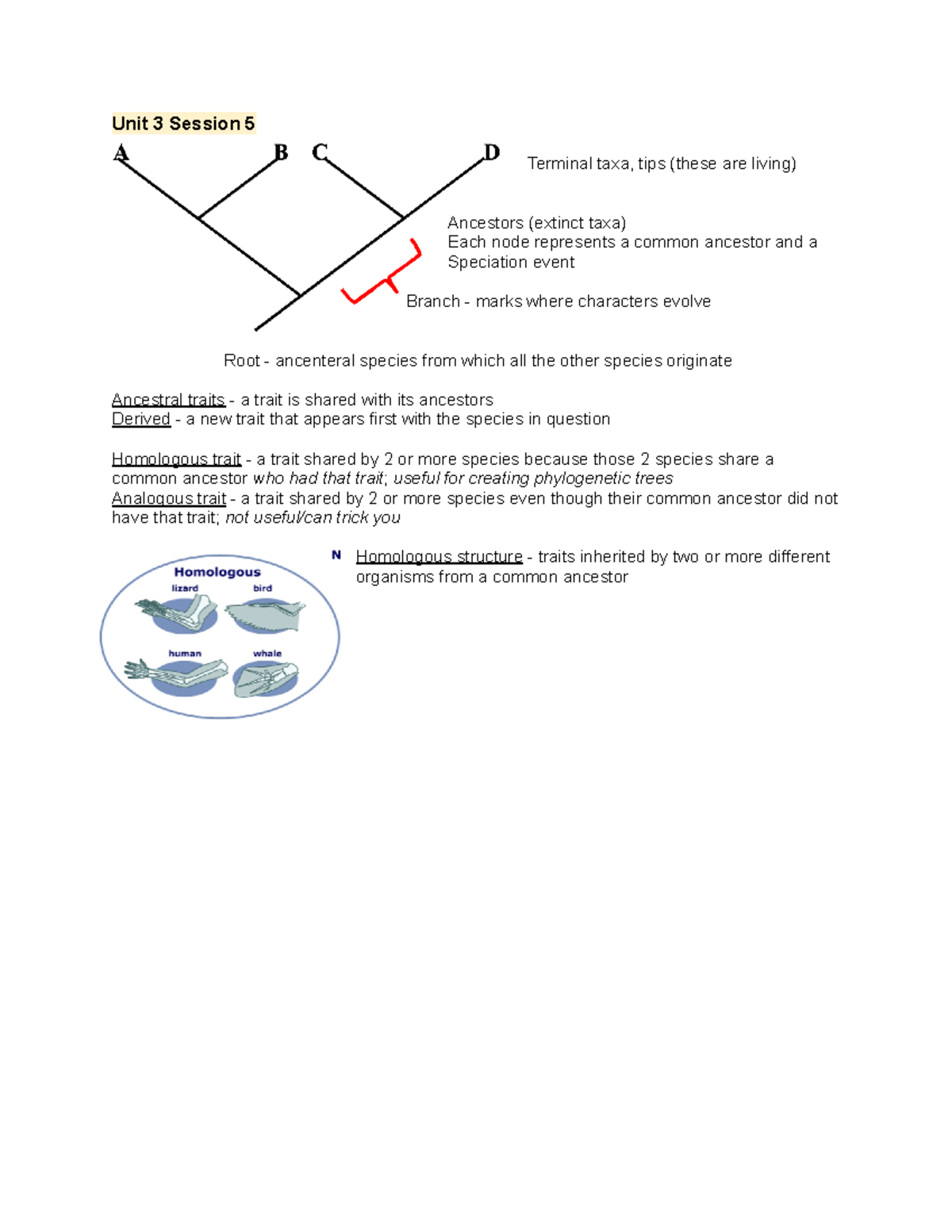 Biol 112 Unit 3 Phylogenetic Tree Concepts Review Notes - Studocu