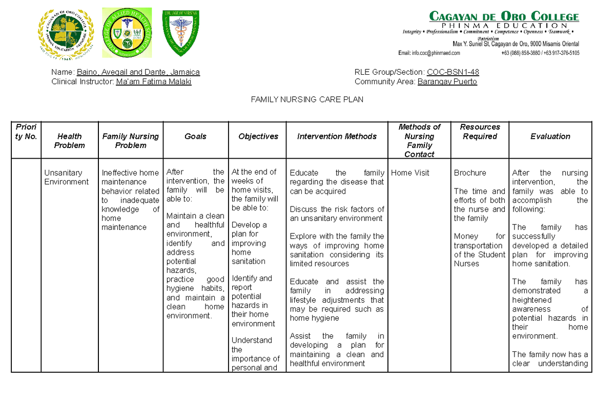 COC-BSN1: Family Nursing Care Plan for Smoking & Alcohol (Final)