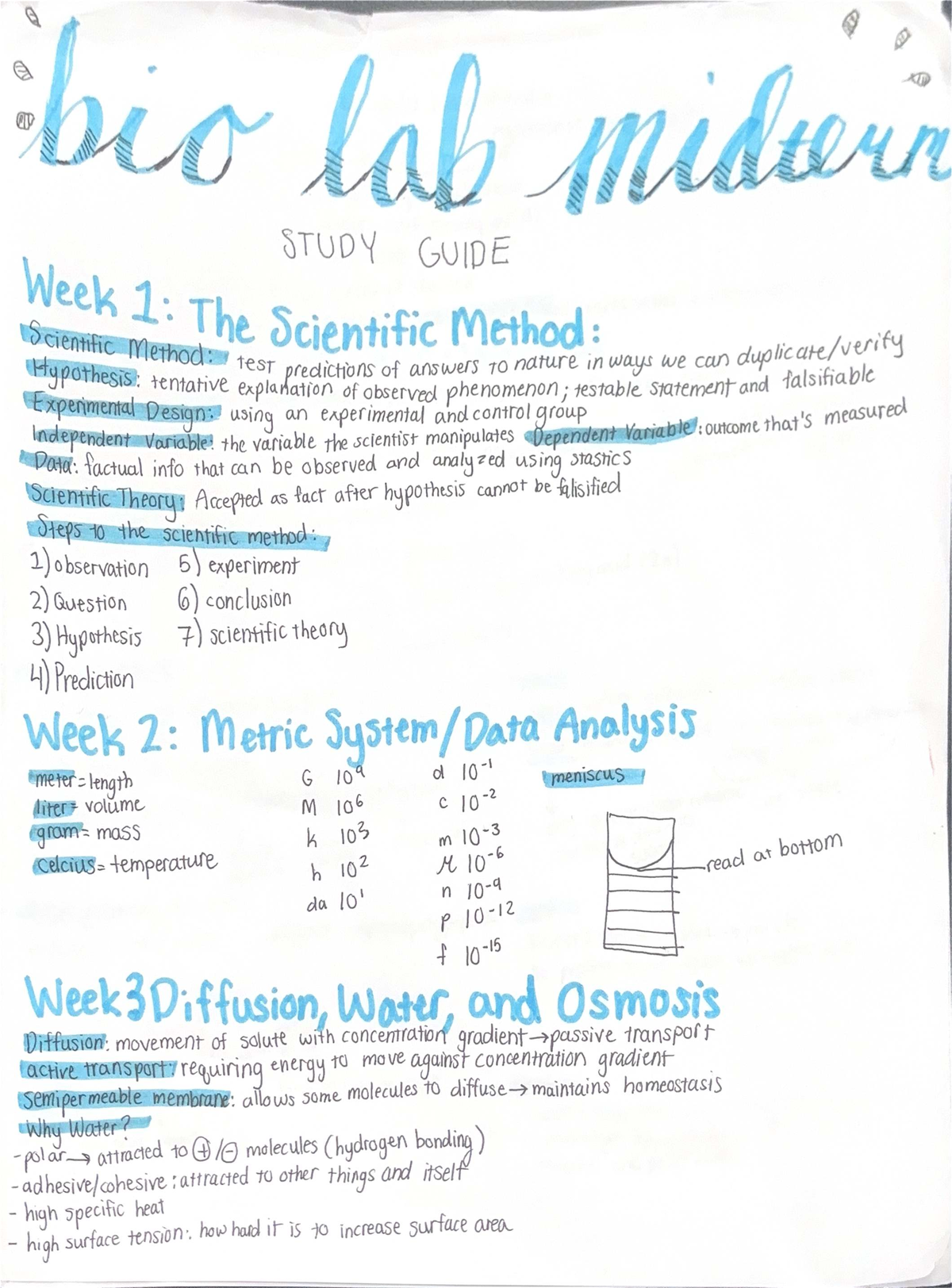 Final Exam Study Guide for ABC123: Scientific Method & Cell Biology ...