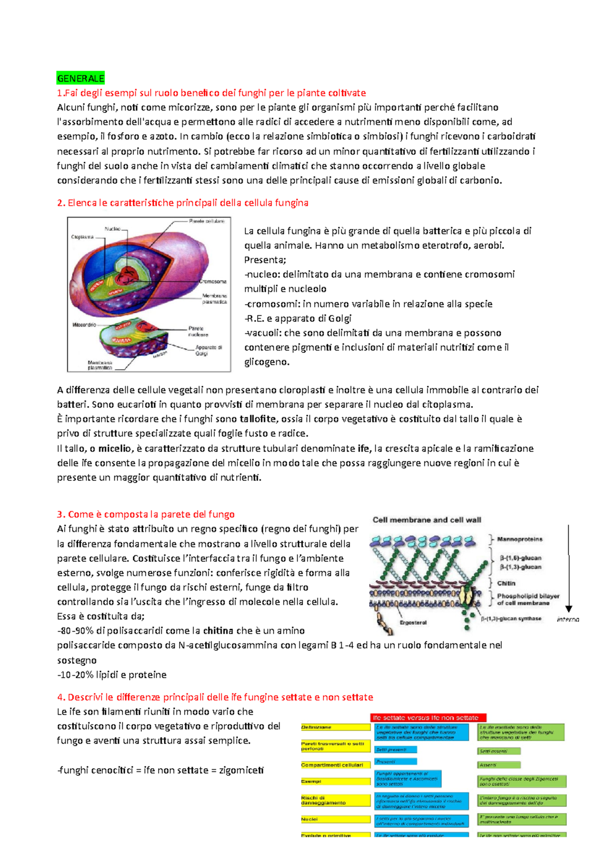 Appunti di Microbiologia sui Funghi - Domande e Risposte Aggiornate -  Studocu